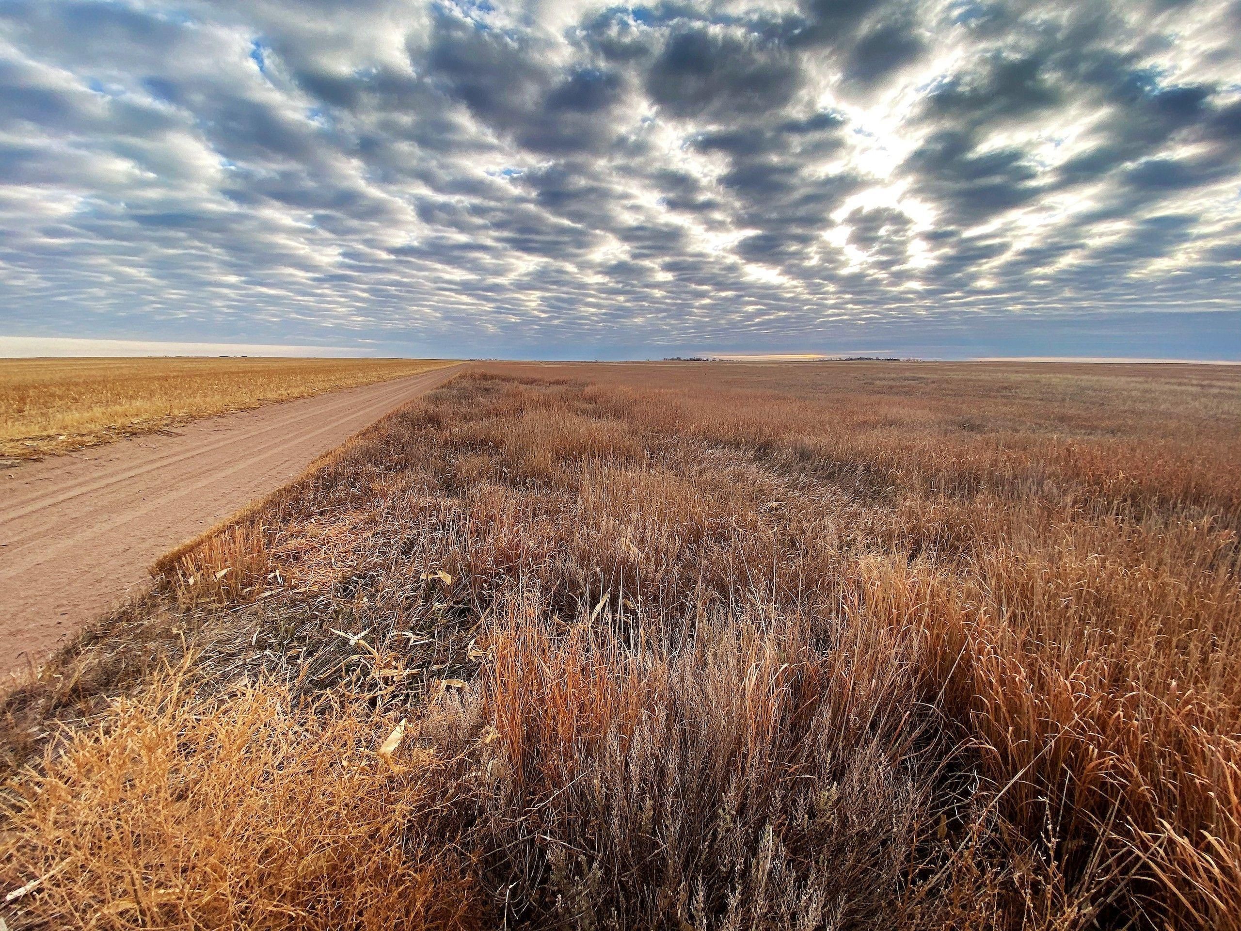 Holyoke, Phillips County, CO Recreational Property, Hunting Property