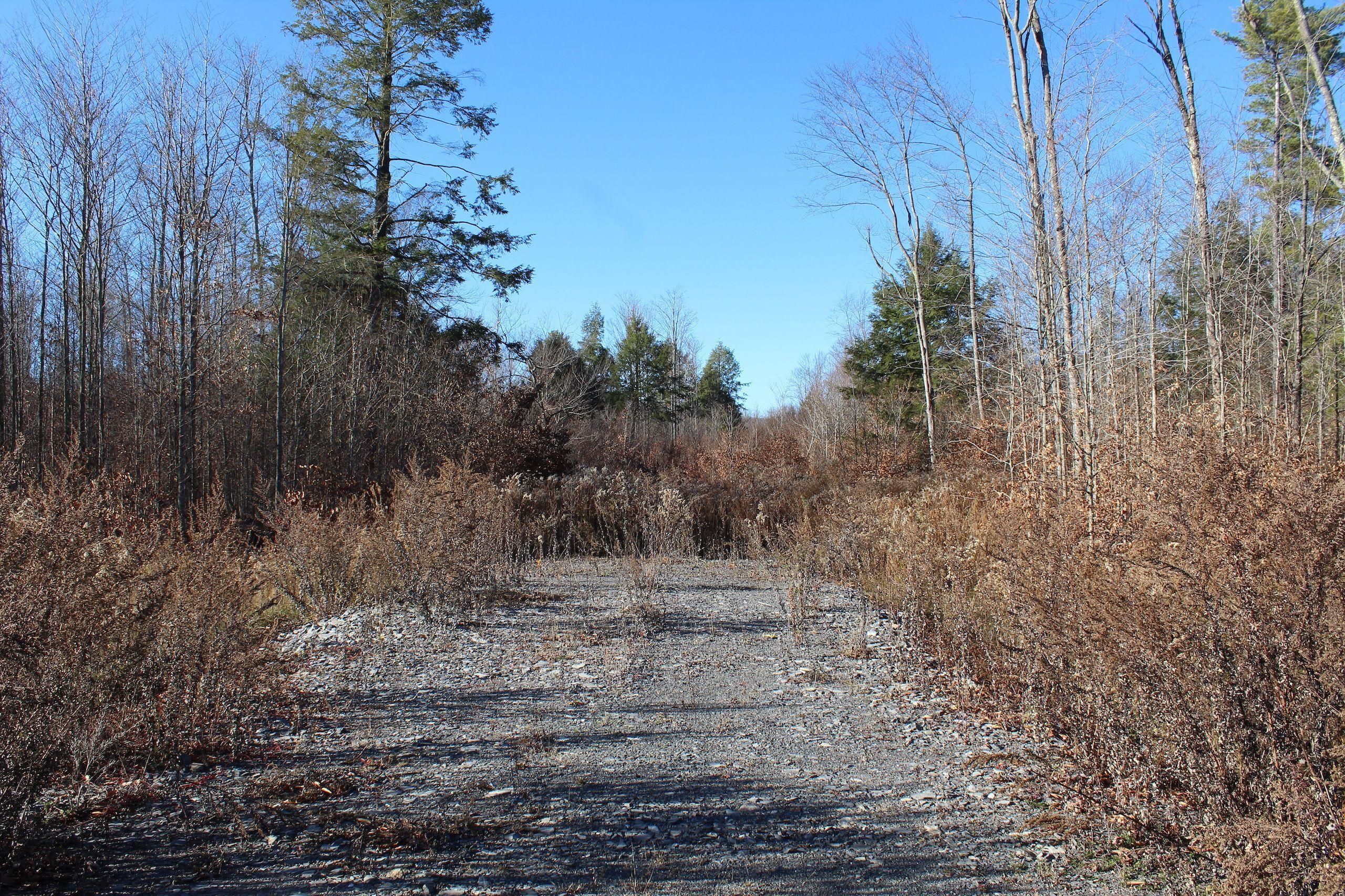 Wellsboro, Tioga County, PA Recreational Property, Timberland Property