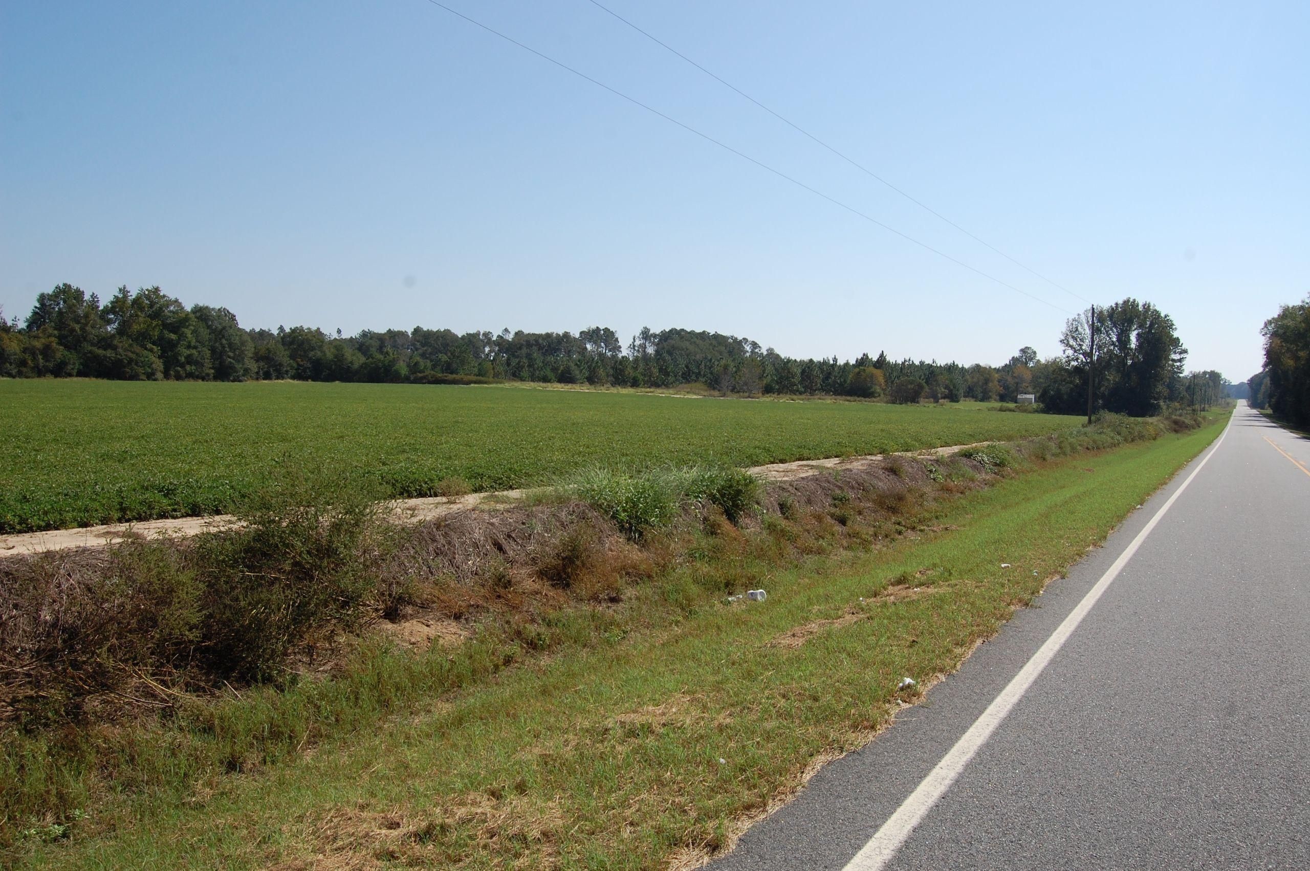 Hawkinsville, Pulaski County, GA Recreational Property, Timberland