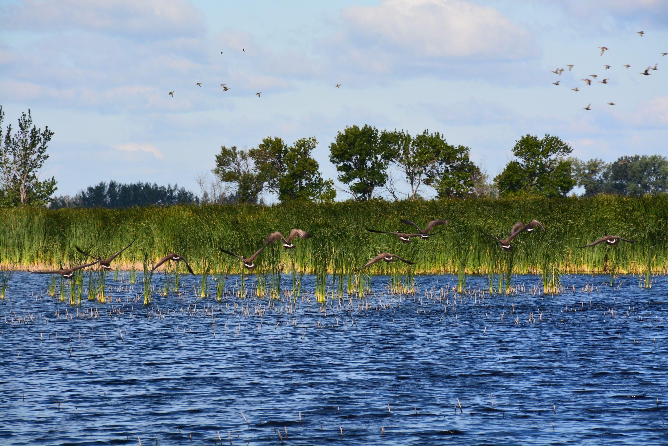 Amherst, Marshall County, SD Recreational Property, Hunting Property
