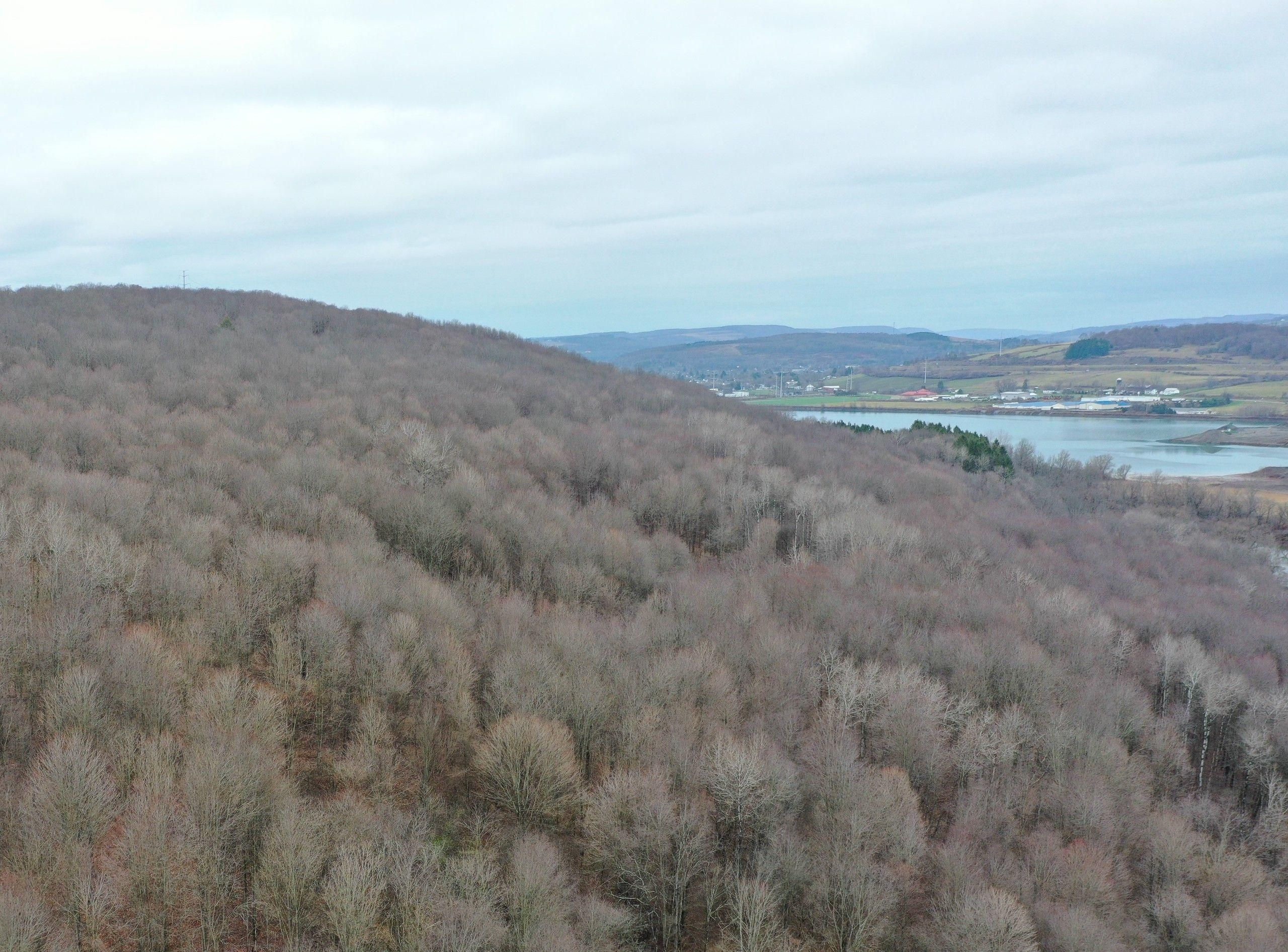 Cortland, Cortland County, NY Recreational Property, Hunting Property