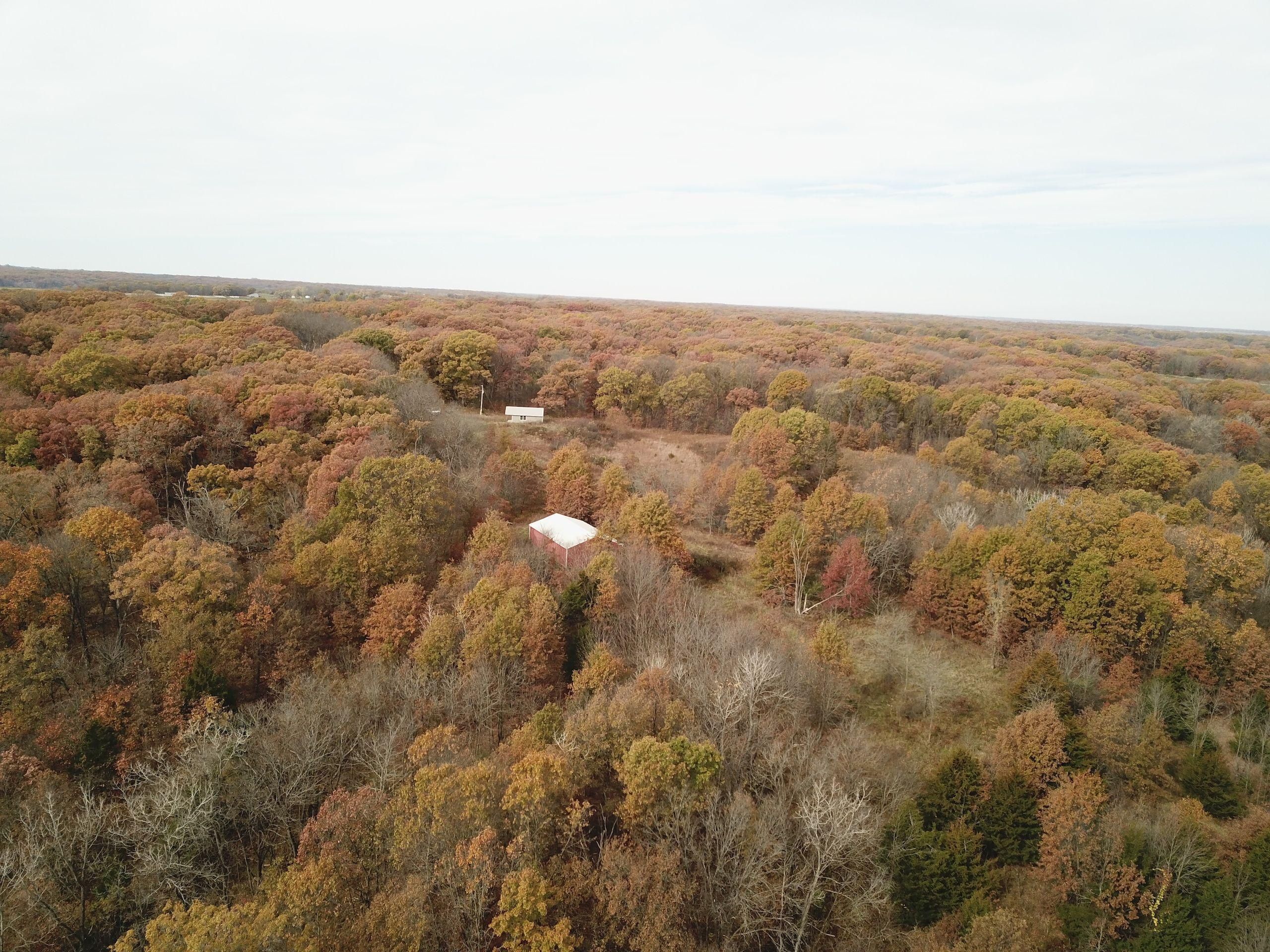 Green Castle, Putnam County, MO Farms and Ranches, Timberland Property
