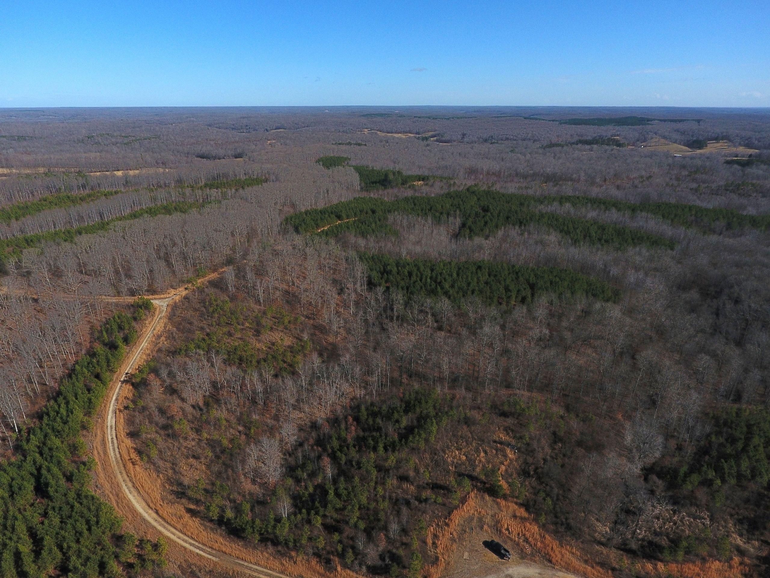 Dover, Stewart County, TN Recreational Property, Timberland Property