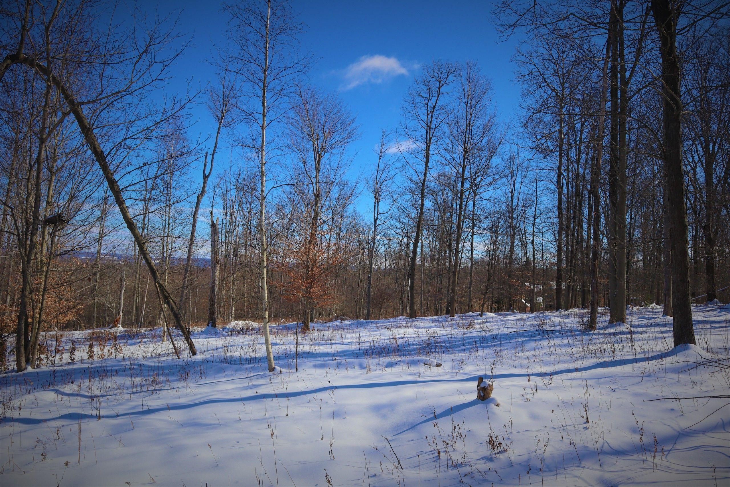 Jamestown, Chautauqua County, NY Recreational Property, Timberland