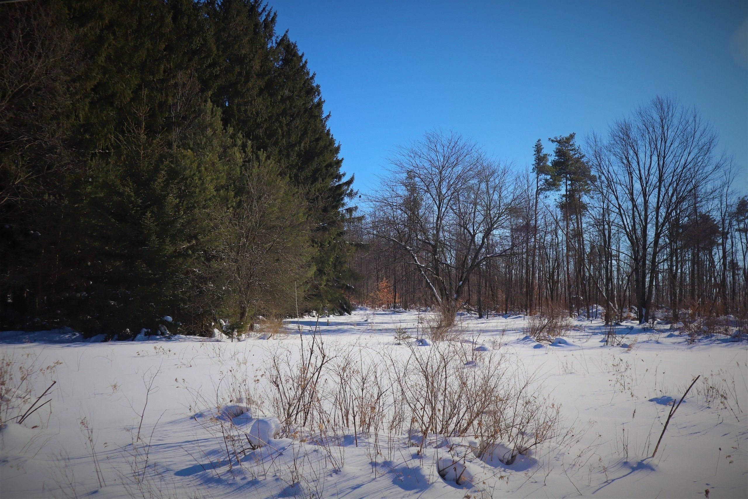 Clymer, Chautauqua County, NY Recreational Property, Timberland Property, Hunting Property for
