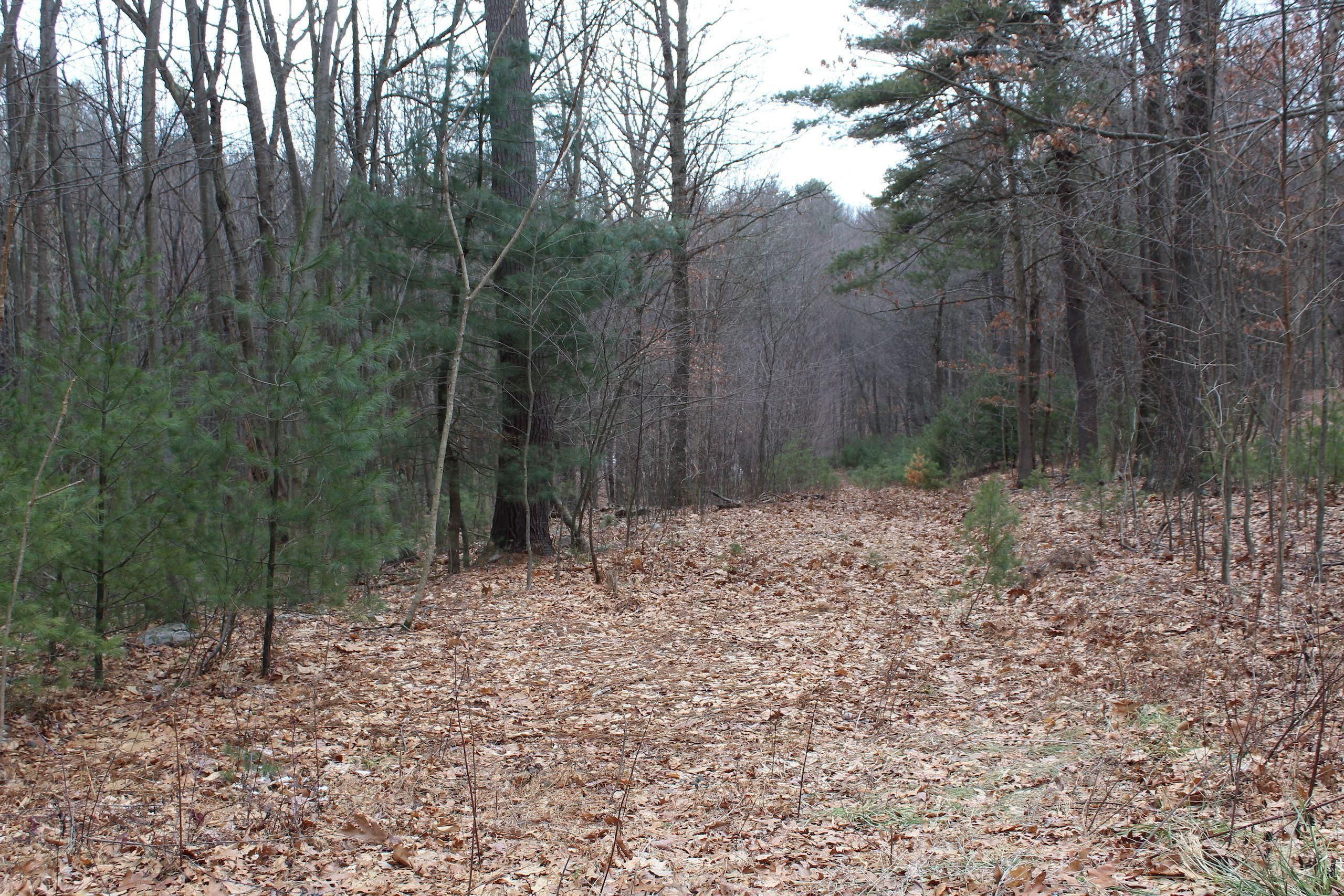 Huntingdon, Huntingdon County, PA Recreational Property, Timberland