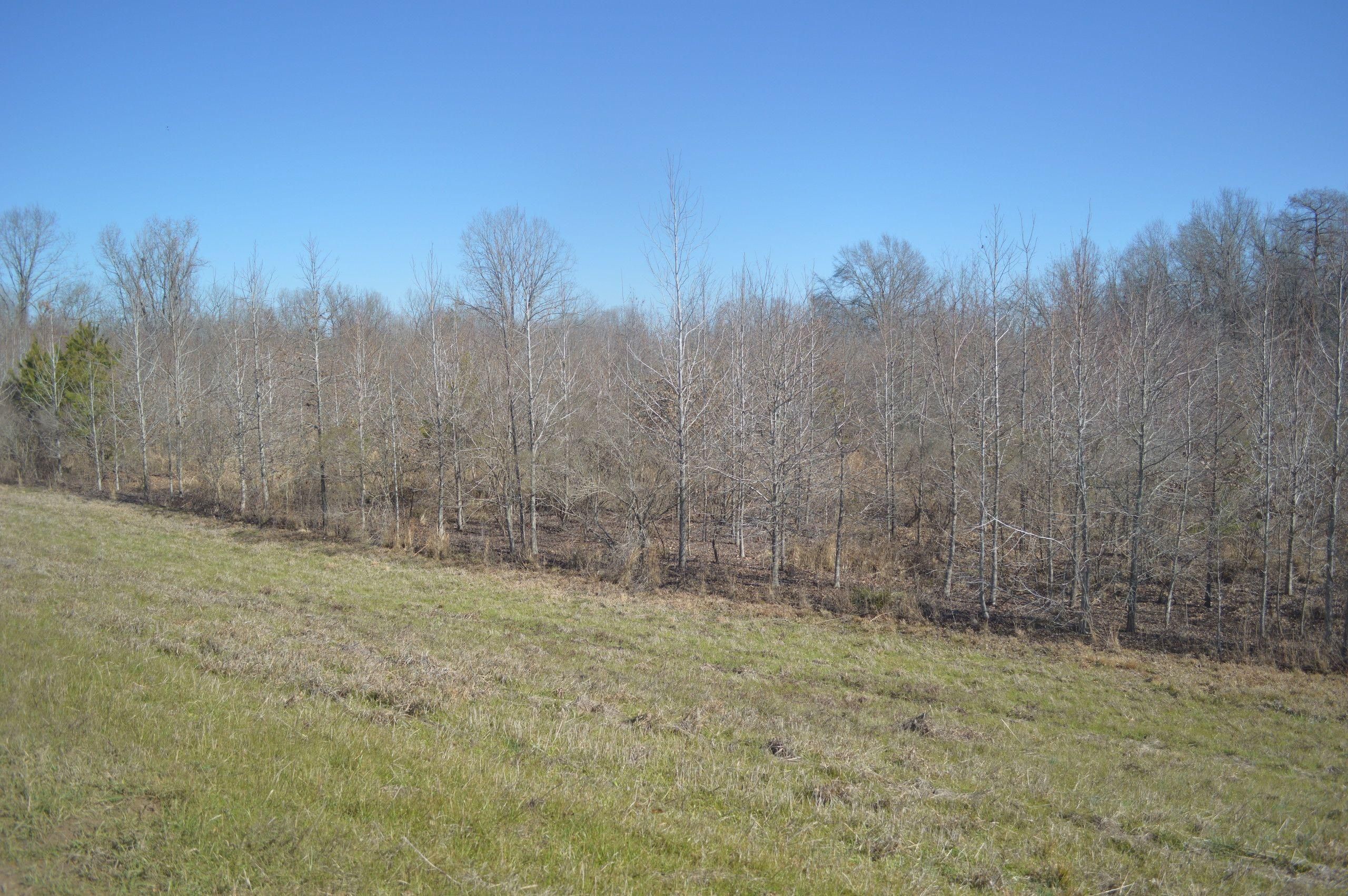 Jonesville, Catahoula Parish, LA Recreational Property, Timberland
