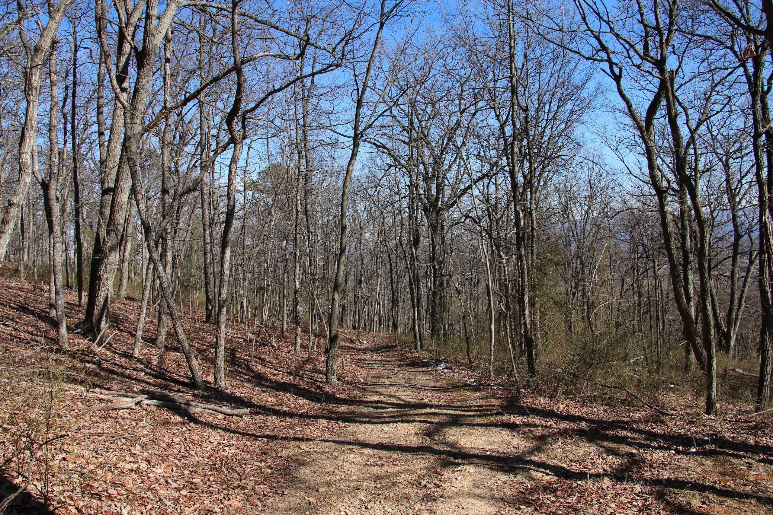 Maurertown, Shenandoah County, VA Recreational Property, Timberland