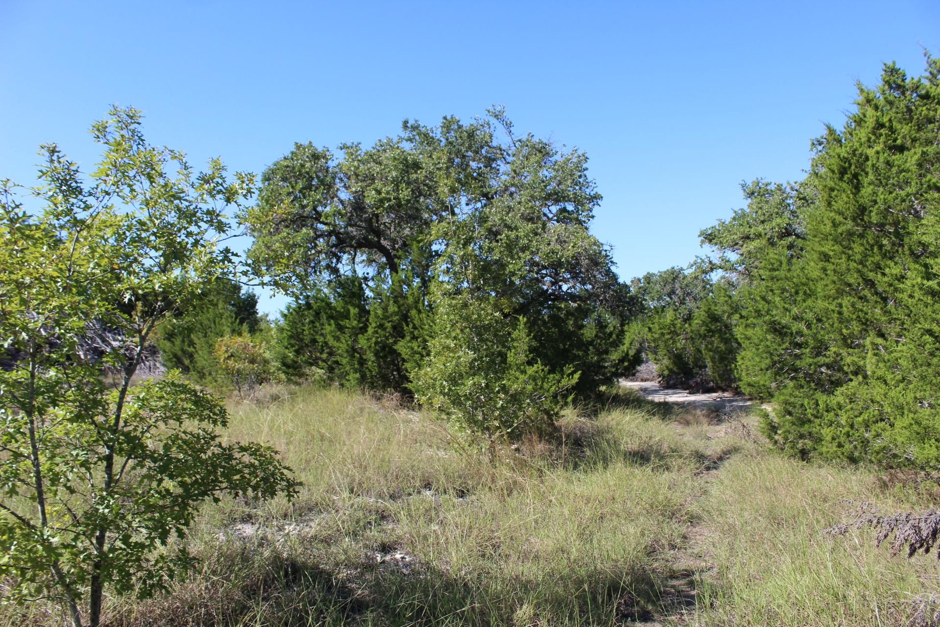 Mountain Home, Kerr County, TX Farms and Ranches, Hunting Property for
