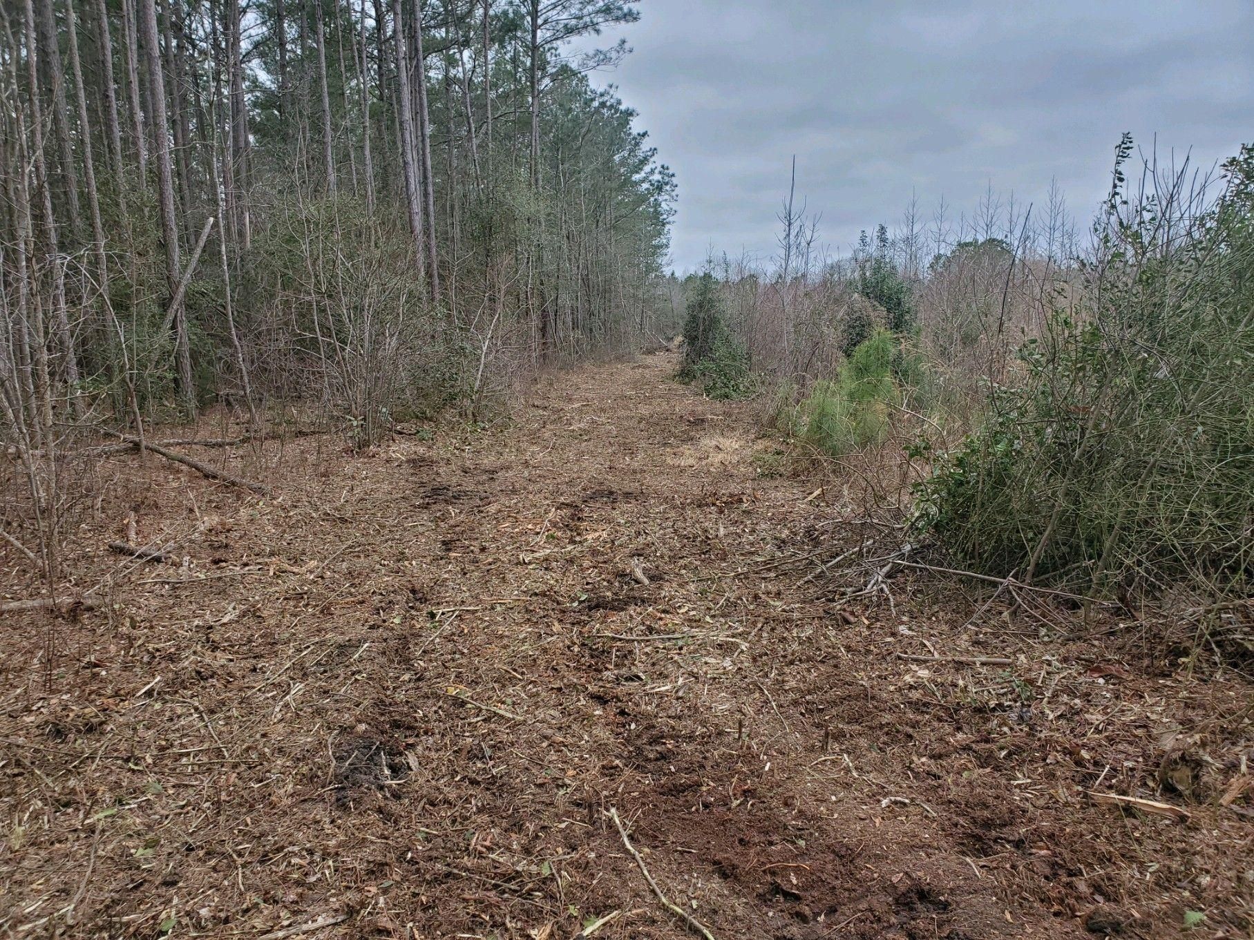 Lucama, Wilson County, NC Recreational Property, Hunting Property for sale Property ID