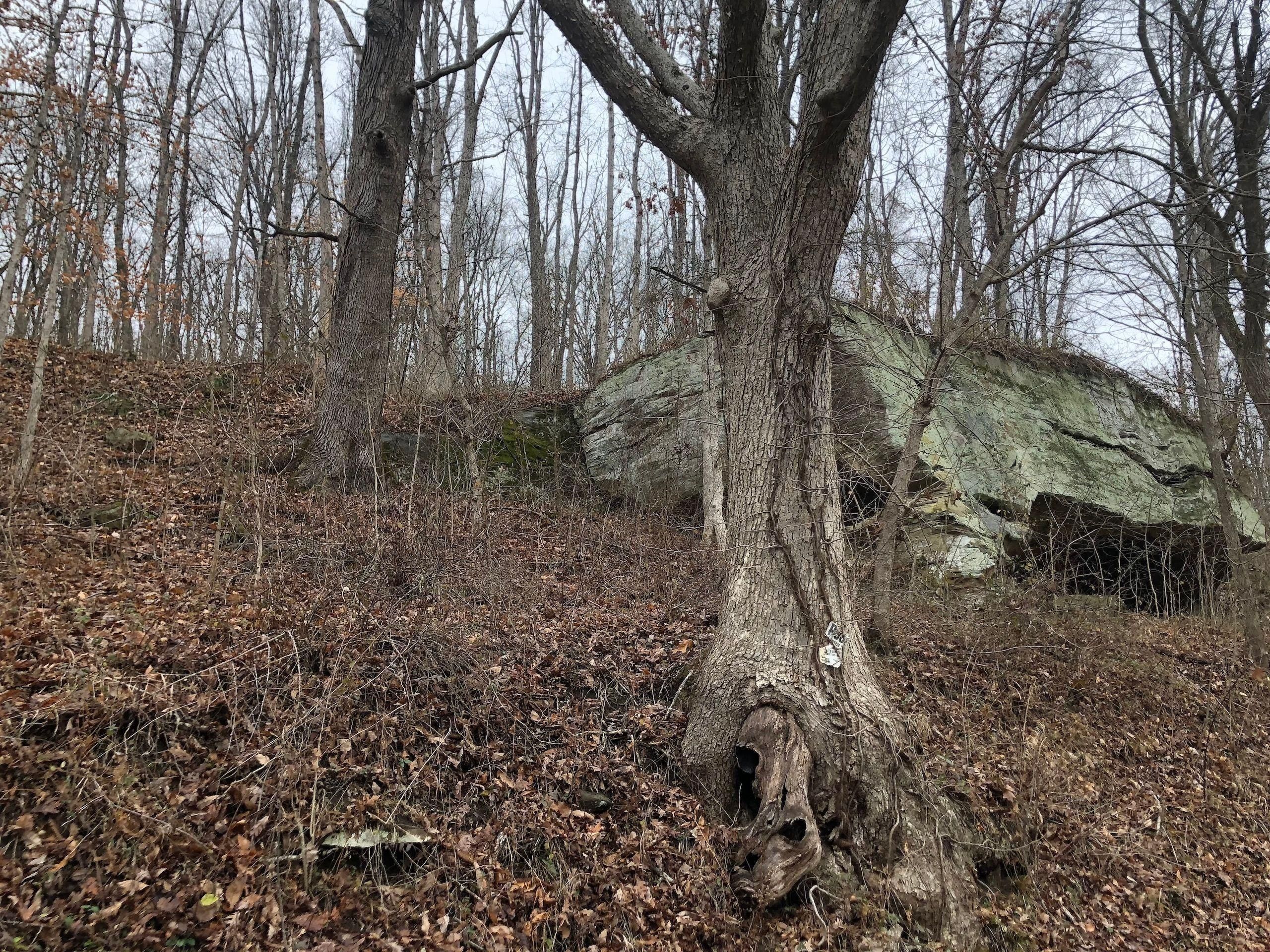 Vinton, Vinton County, OH Recreational Property, Hunting Property for