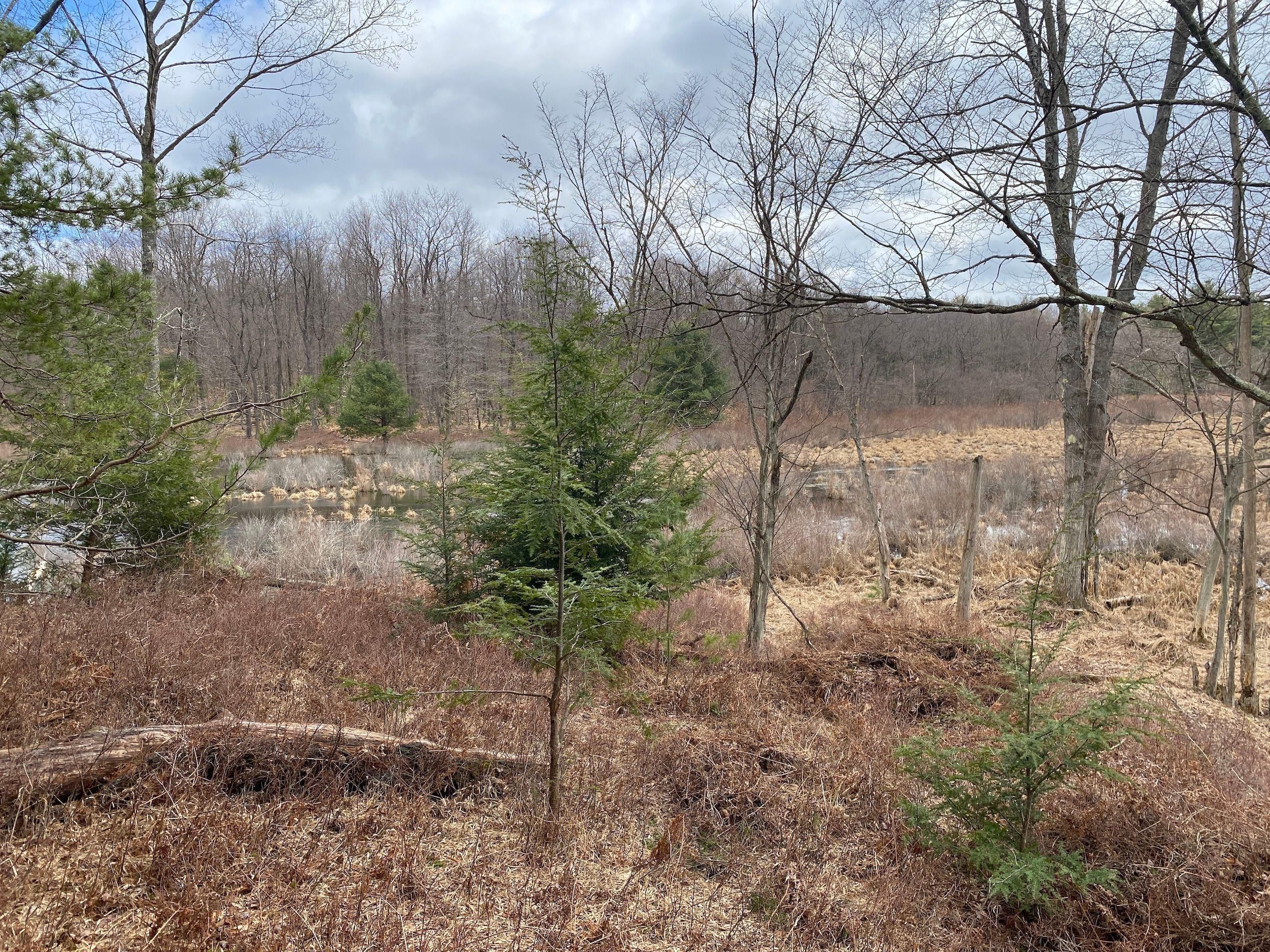 Spartansburg, Warren County, PA Recreational Property, Timberland Property, Hunting Property for