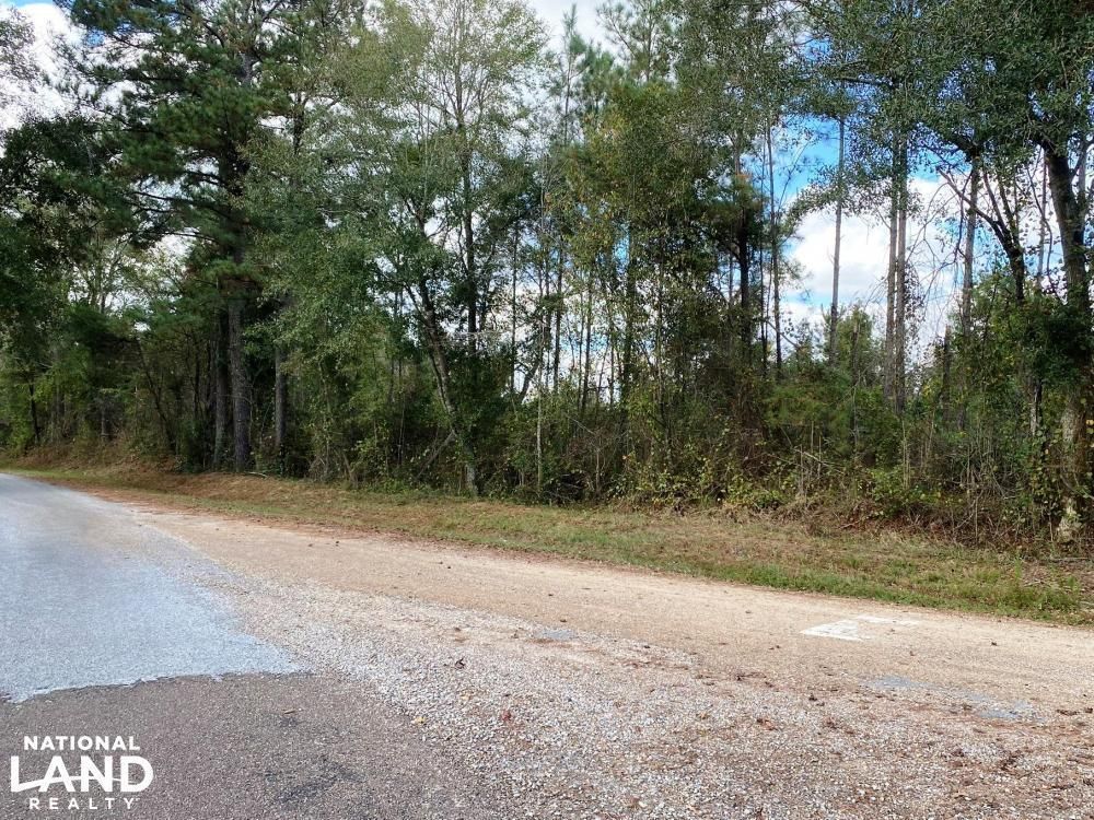 Bay Springs, Jasper County, MS Timberland Property, Undeveloped Land