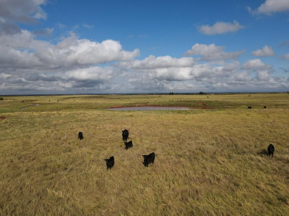 Loyal, Kingfisher County, OK Farms and Ranches, Undeveloped Land for