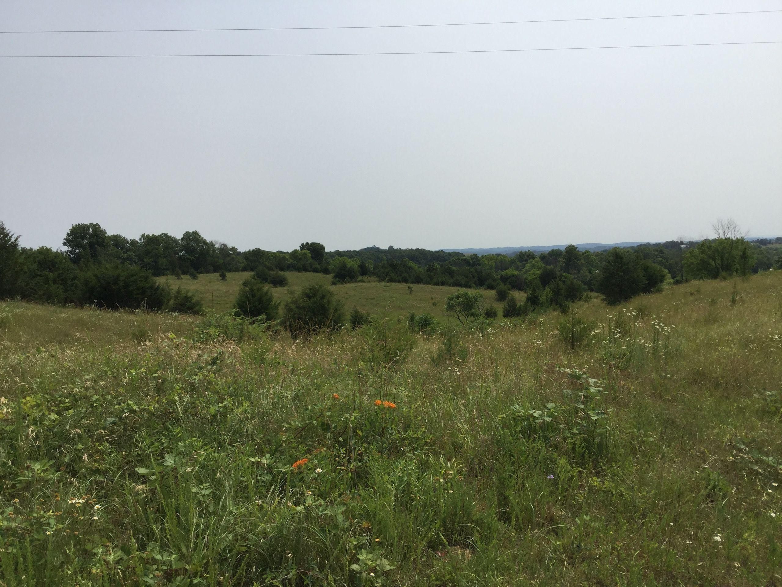 Mosheim, Greene County, TN Recreational Property, Timberland Property