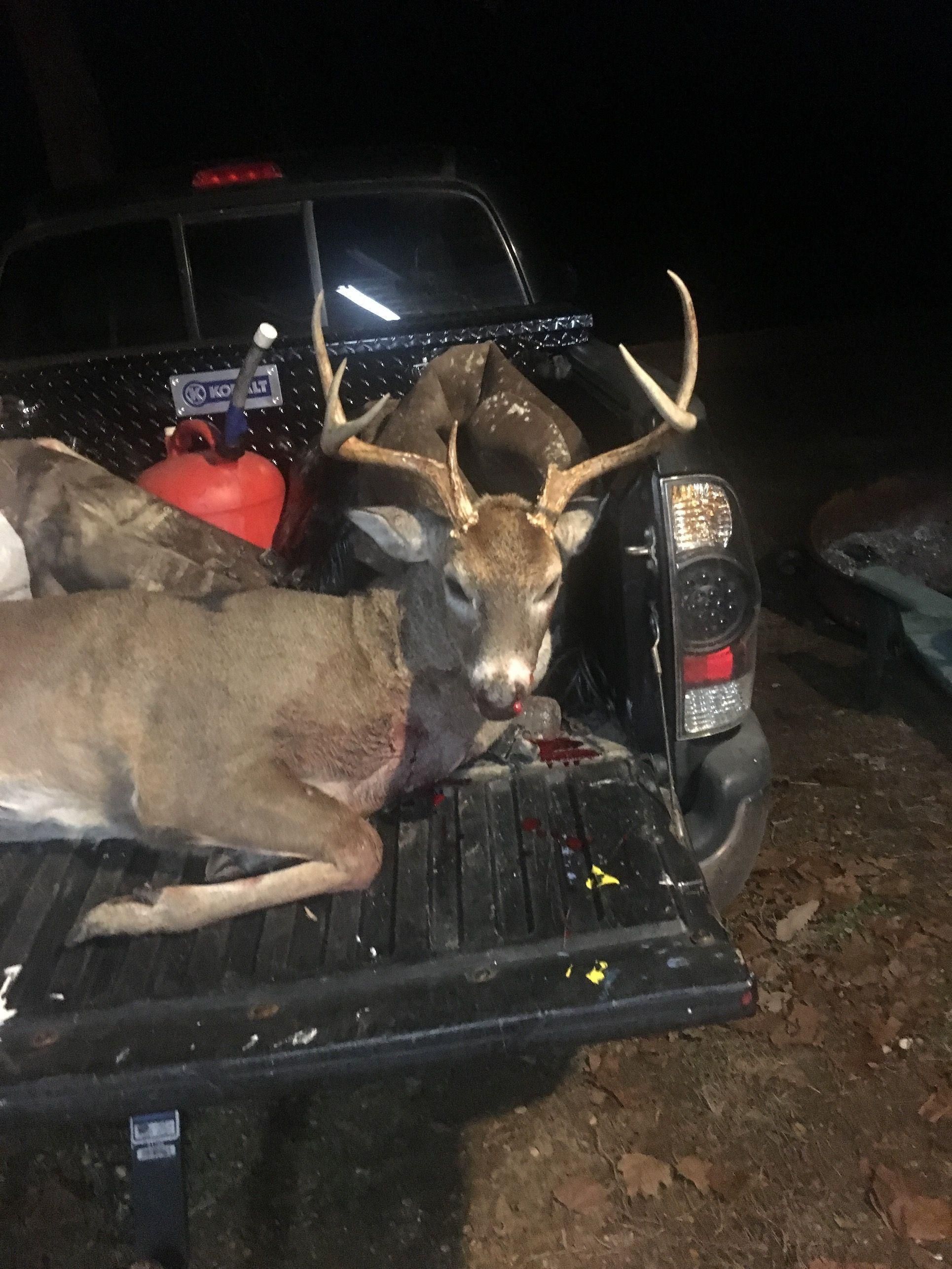 Orrville, Dallas County, AL Recreational Property, Hunting Property for