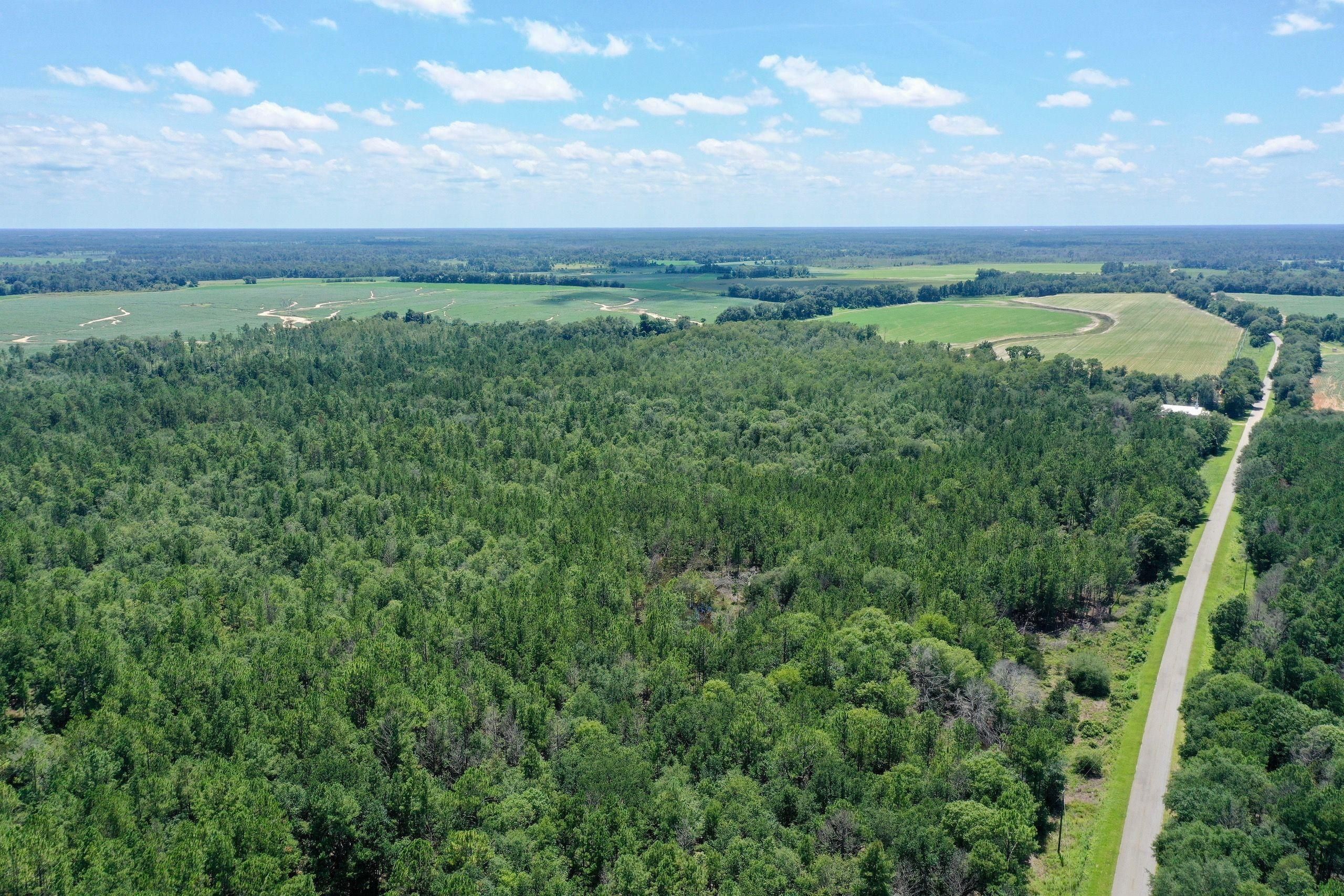 Arlington, Baker County, GA Recreational Property, Timberland Property