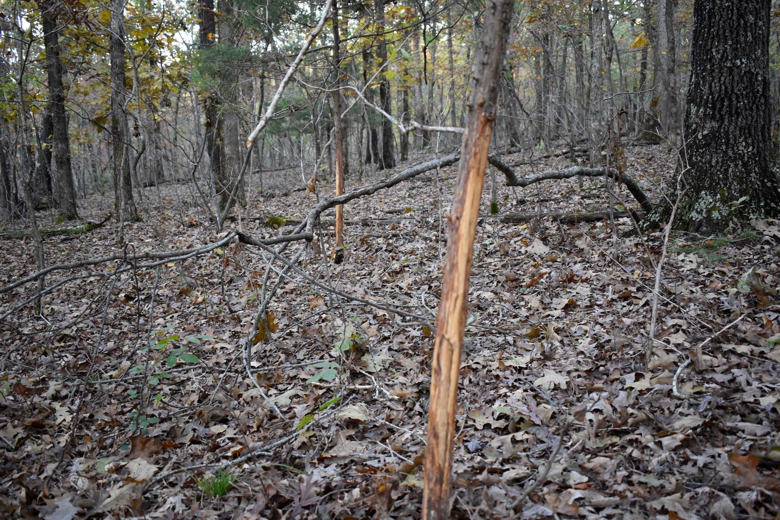 Plato, Texas County, MO Recreational Property, Hunting Property for