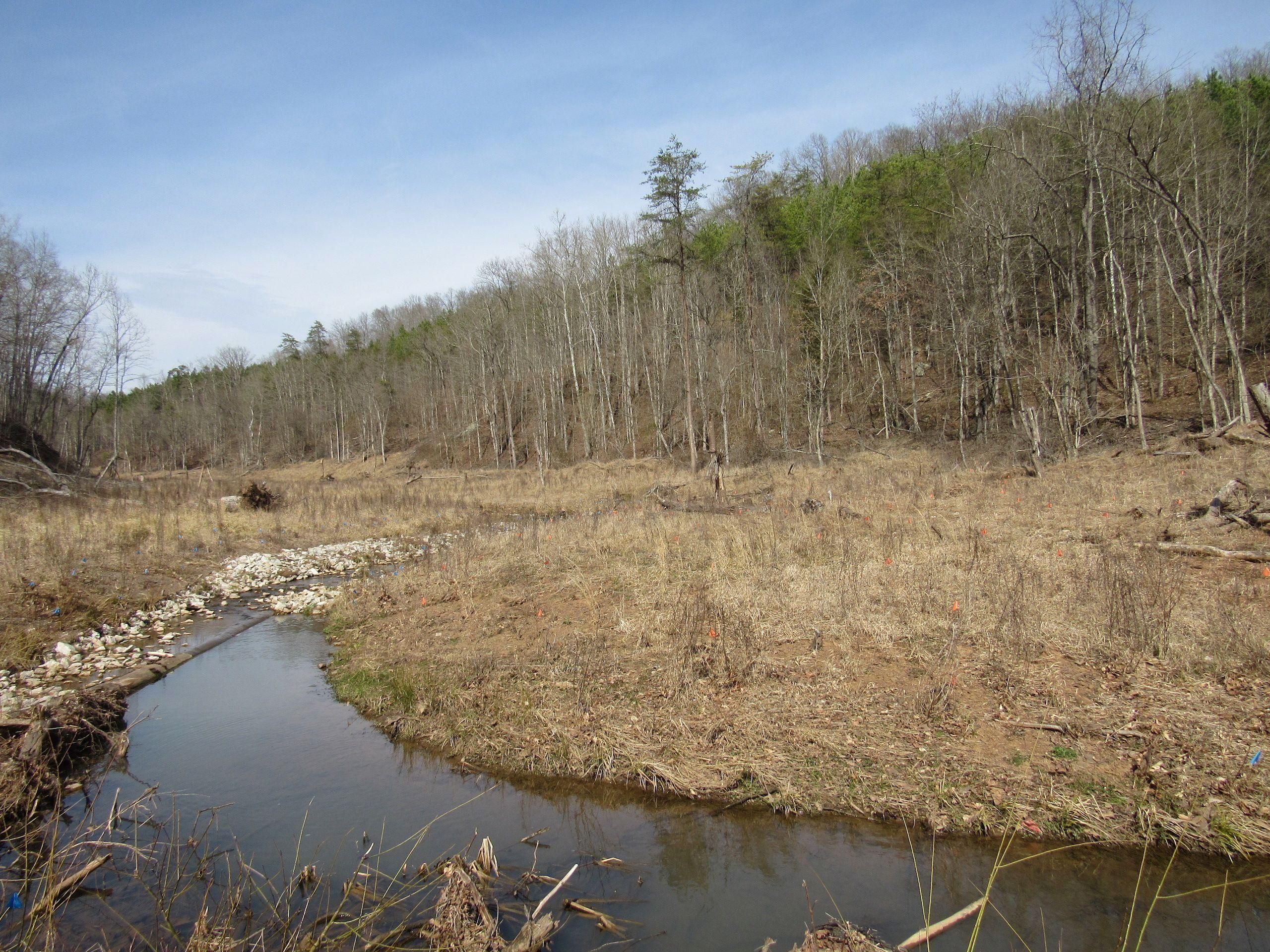 Leon, Mason County, WV Recreational Property, Timberland Property