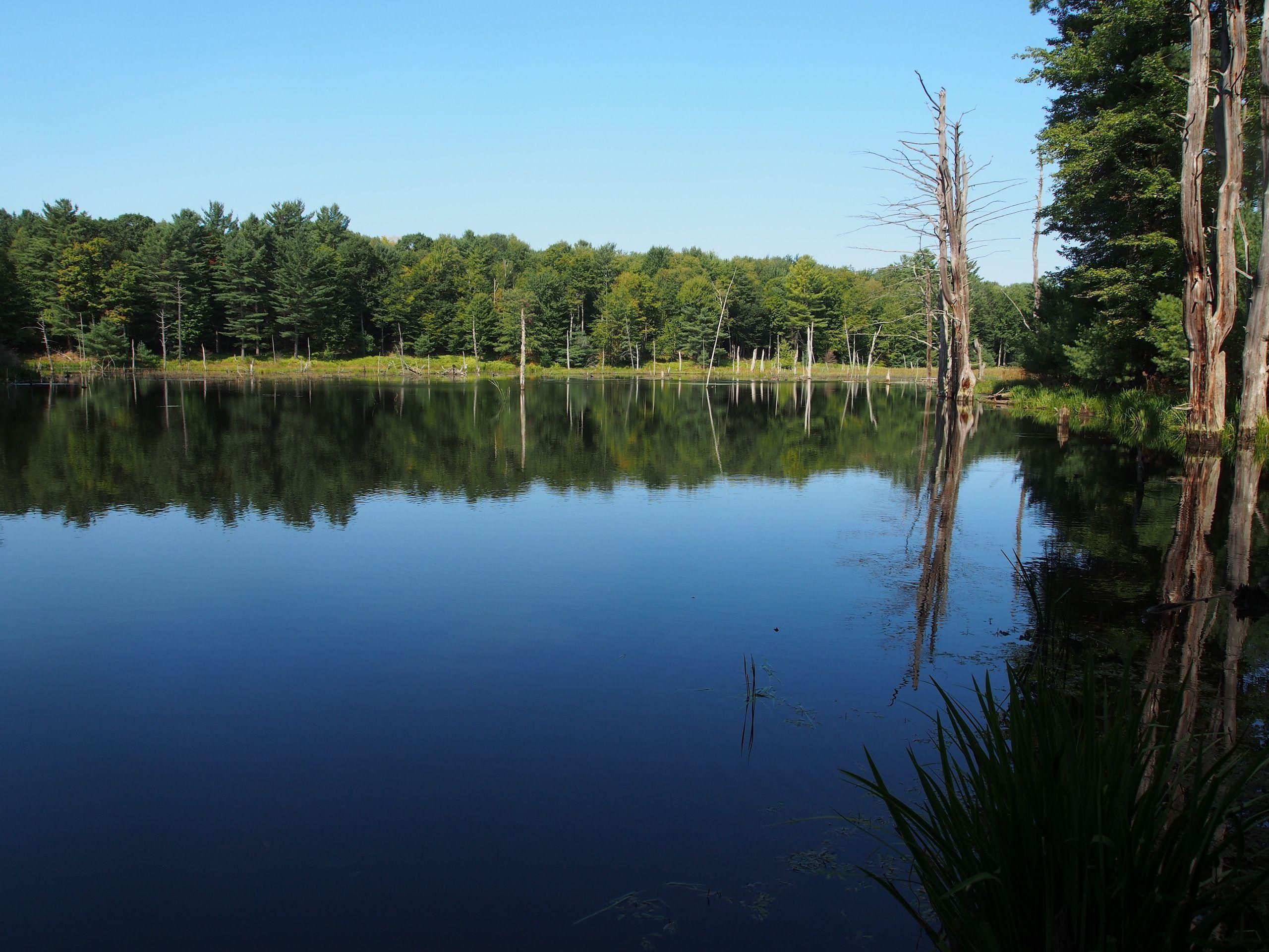 0 Quinlog Road, Mount Vision, NY 13810 LandWatch