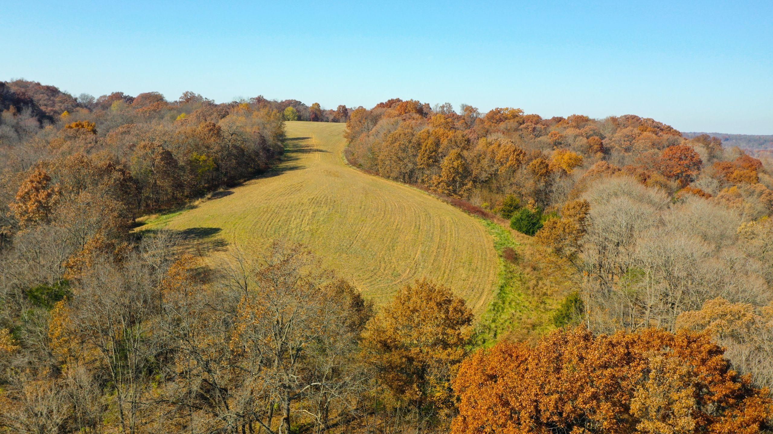 Nebo, Pike County, IL Recreational Property, Timberland Property