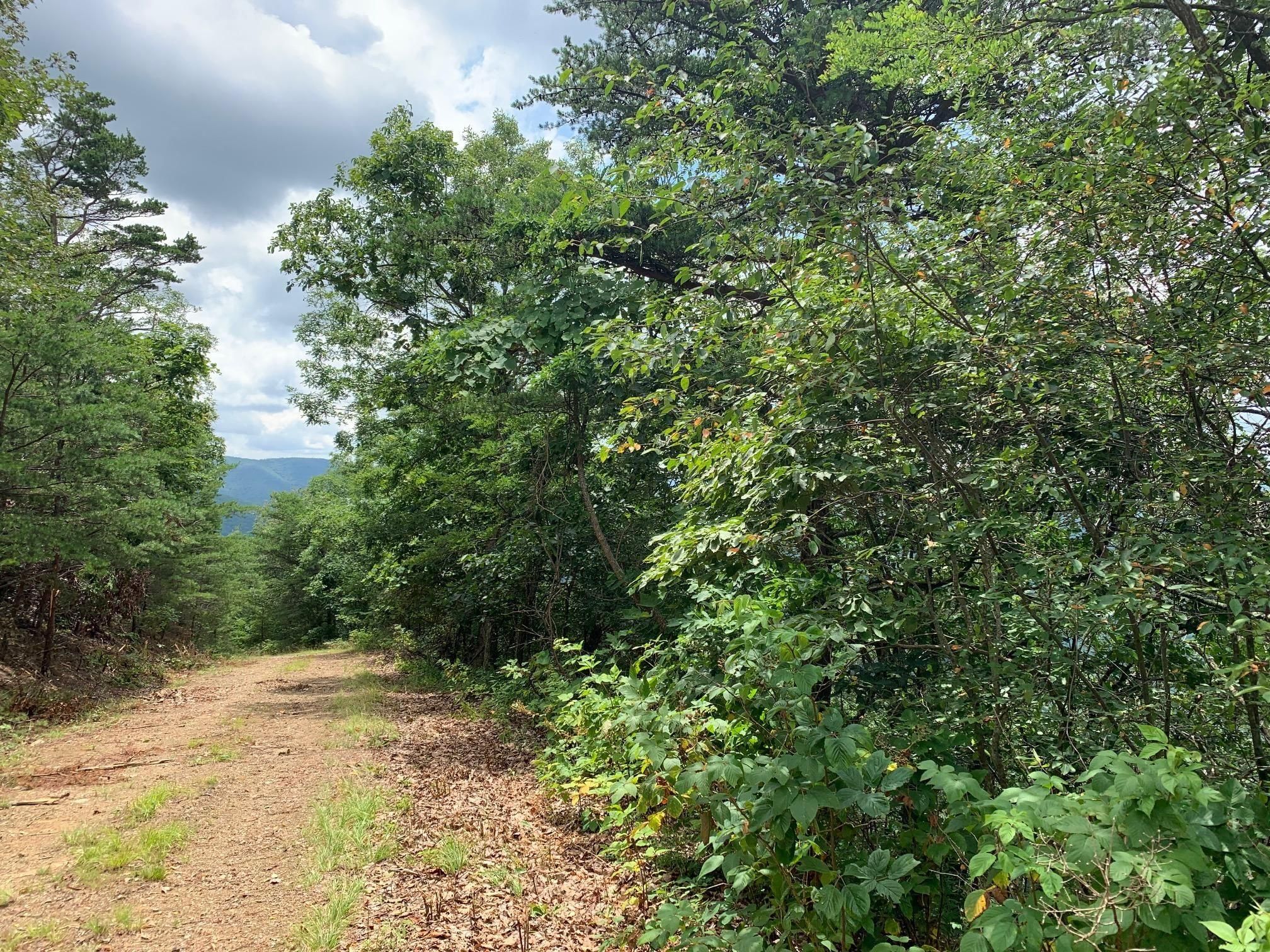 White Sulphur Springs, Greenbrier County, WV Recreational Property