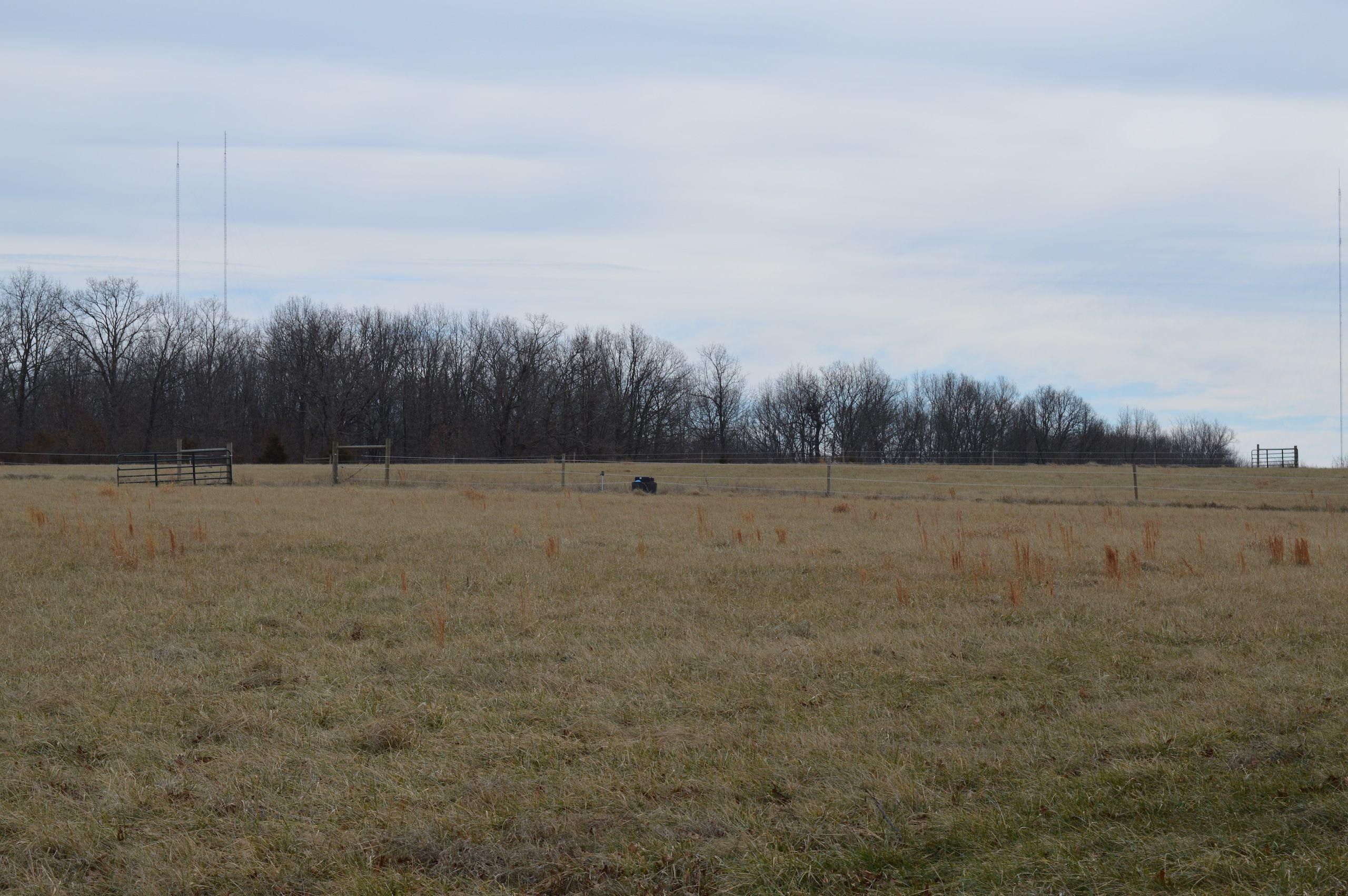 Fordland, ster County, MO Farms and Ranches, Timberland Property