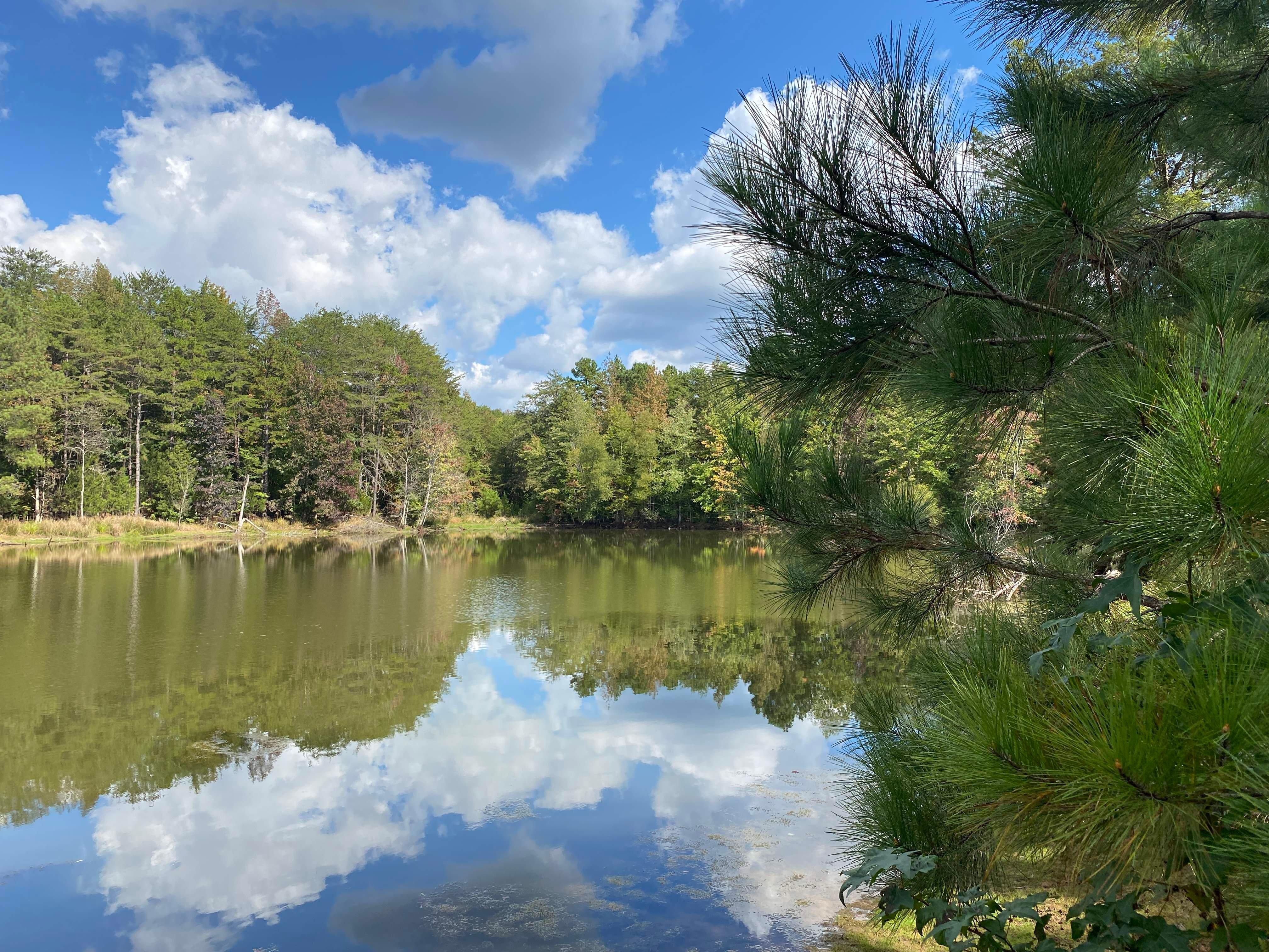 Jonesville, Union County, SC Recreational Property for sale Property ID