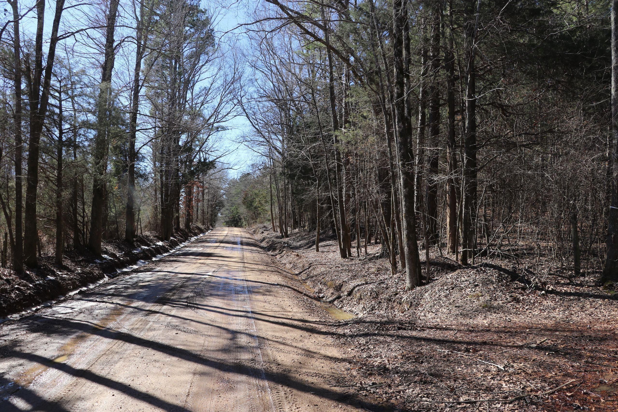Duck Hill, Montgomery County, MS Recreational Property, Timberland Property, Hunting Property