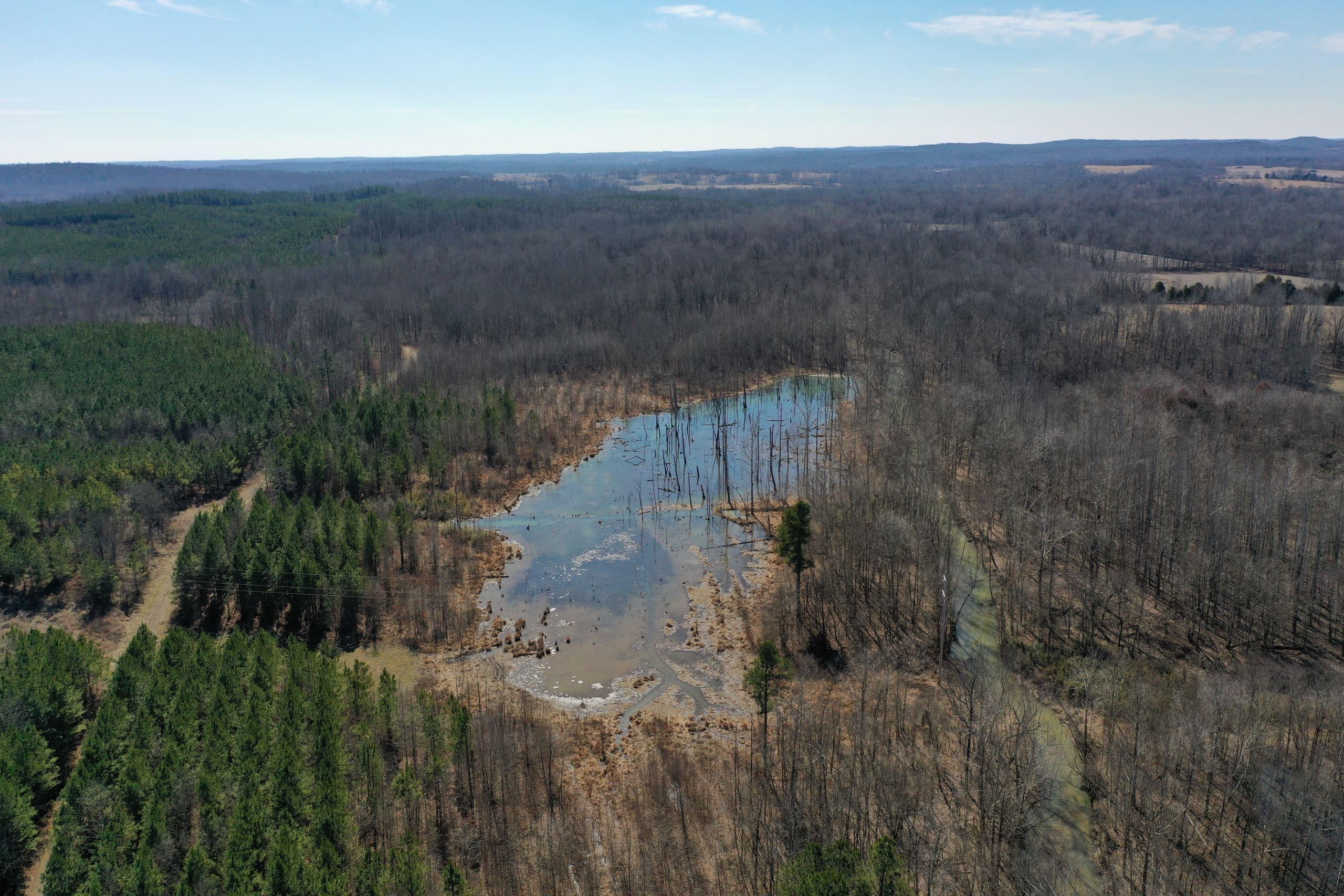 Burna, Livingston County, KY Recreational Property, Timberland Property