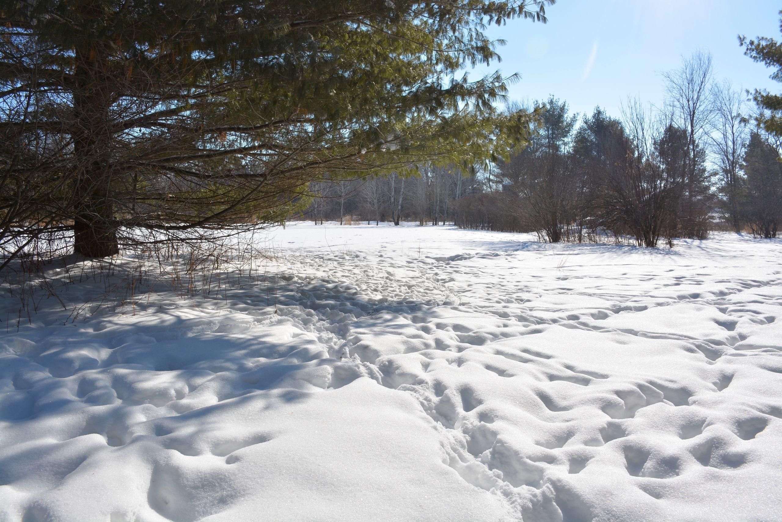 Clayton, Polk County, WI Recreational Property, Hunting Property for