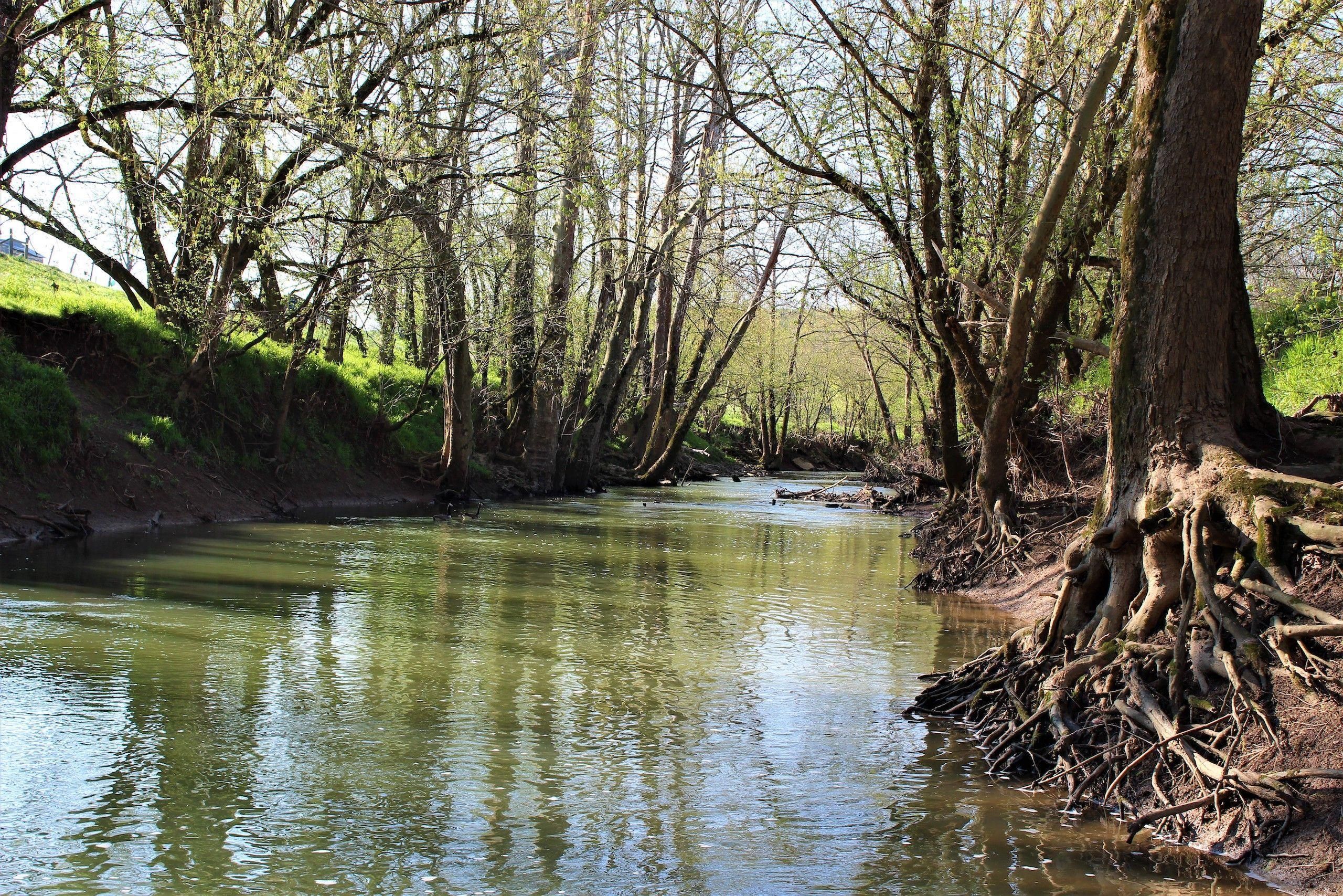 Sharpsburg, Bourbon County, KY Recreational Property for sale Property ID 410033139 LandWatch