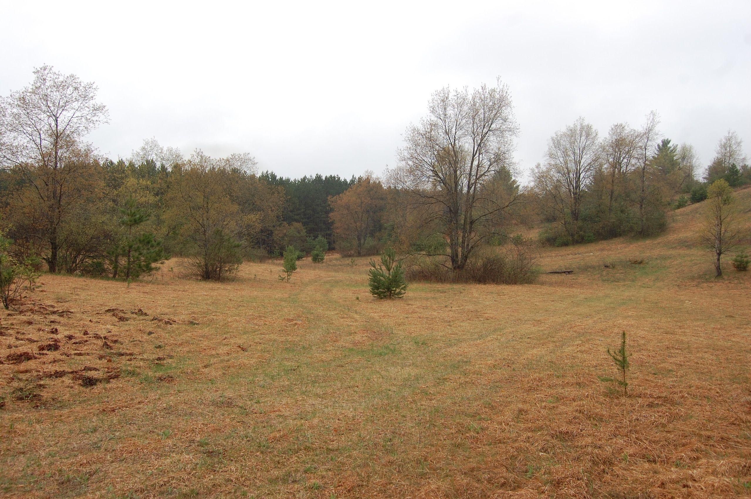 South Boardman, Kalkaska County, MI Recreational Property, Hunting