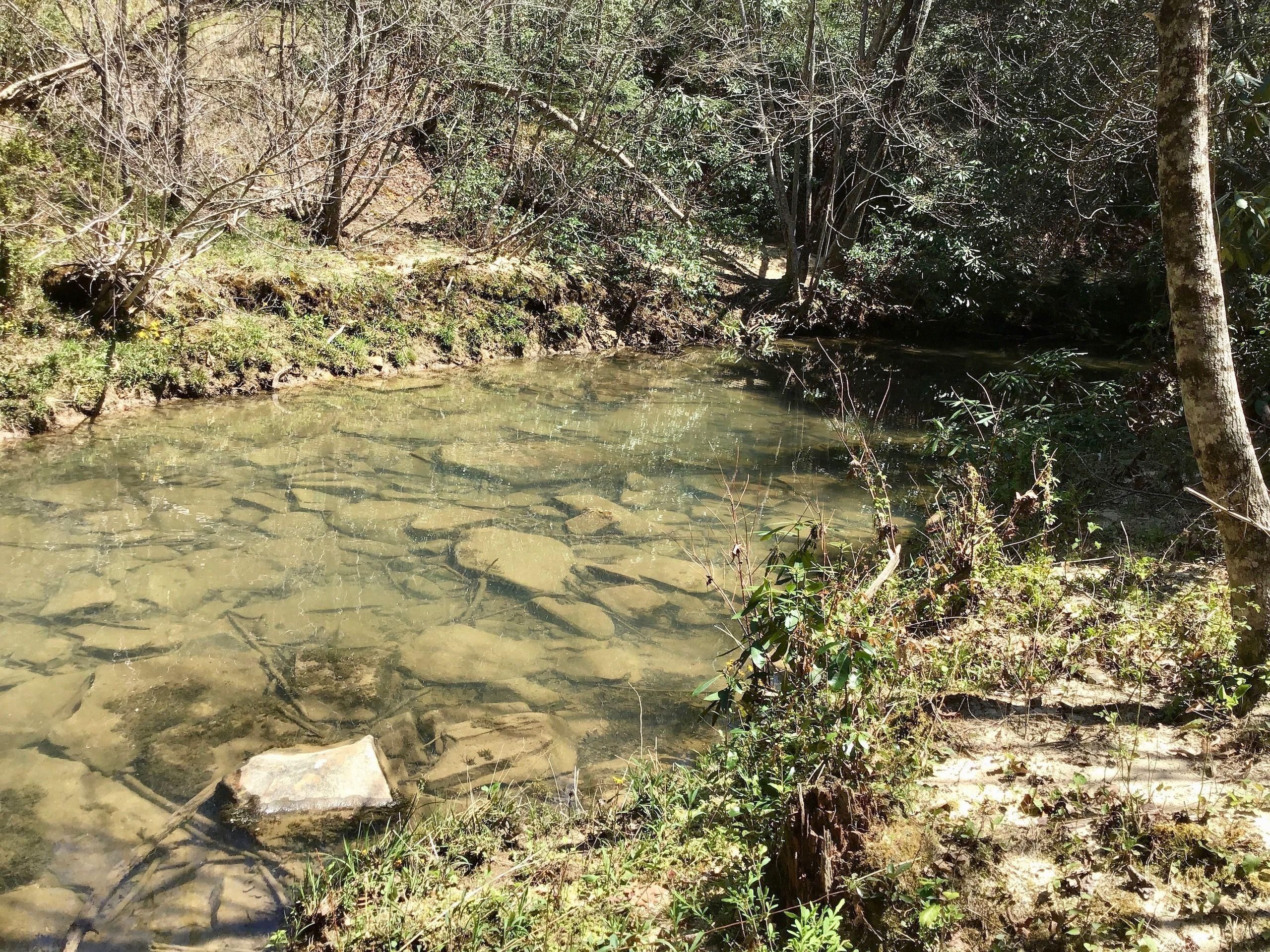 Deer Lodge, County, TN Recreational Property, Timberland