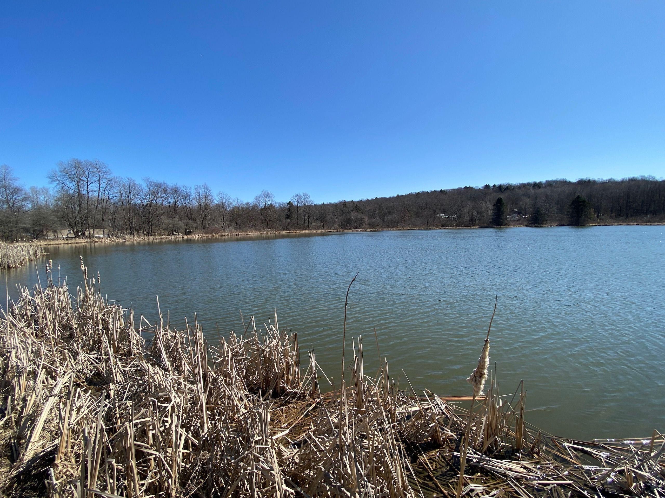 Titusville, Crawford County, PA Recreational Property, Timberland