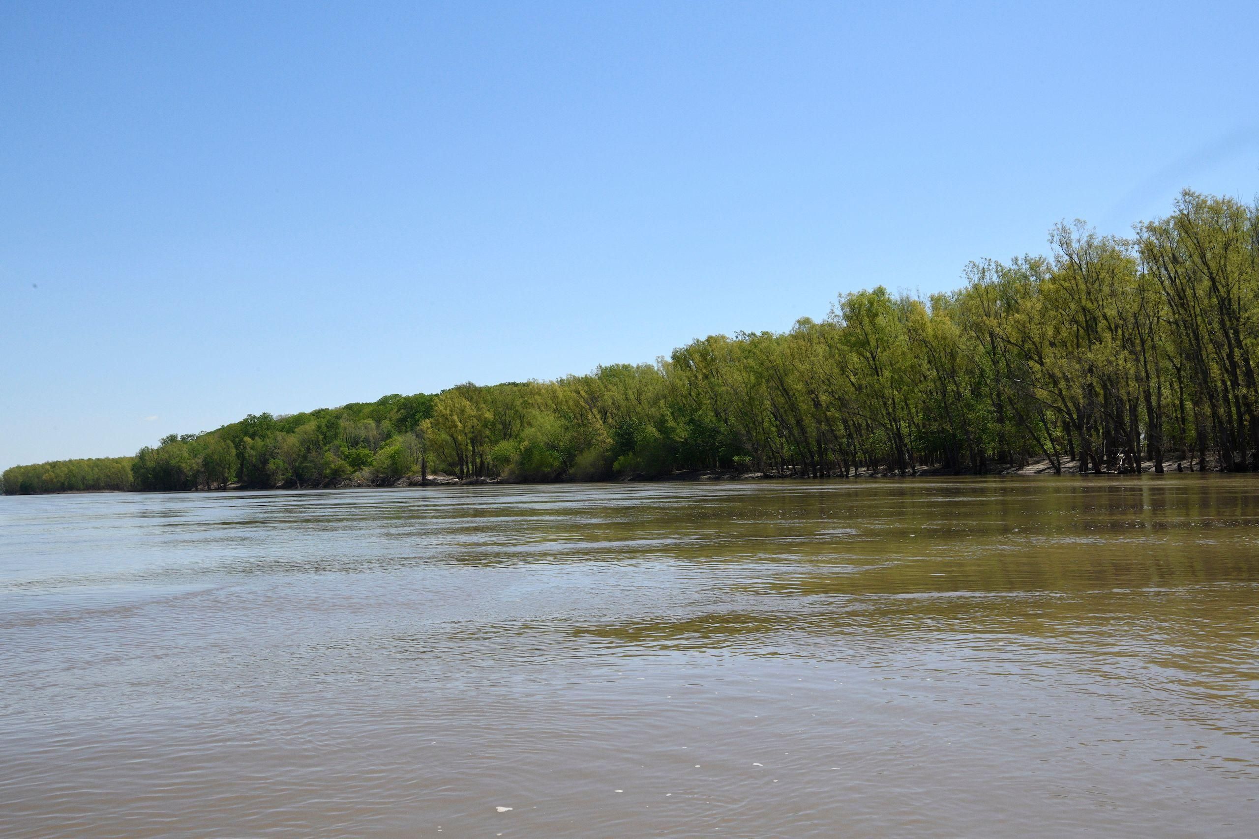 Ripley, Lauderdale County, TN Recreational Property, Timberland