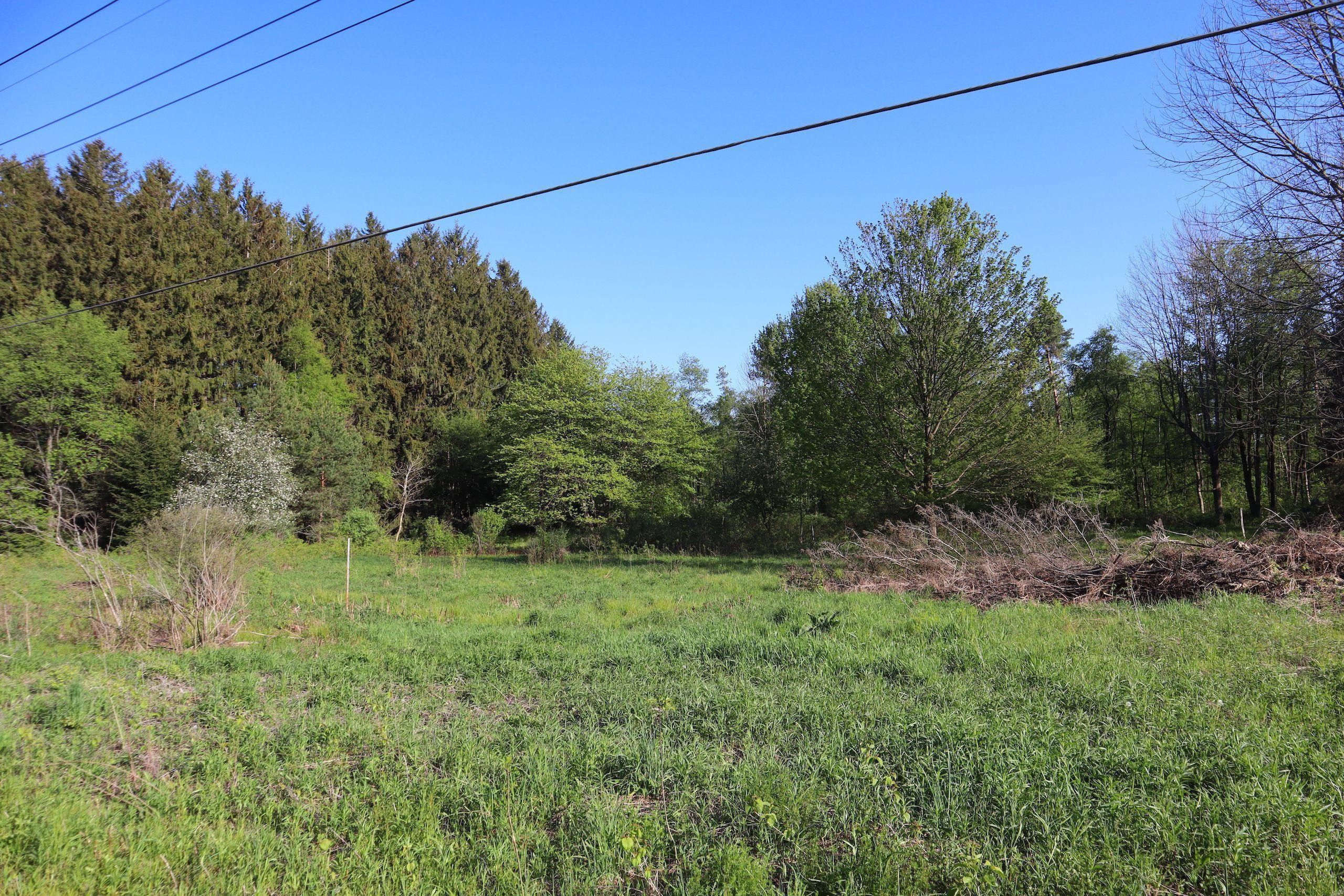 Clymer, Chautauqua County, NY Recreational Property, Timberland