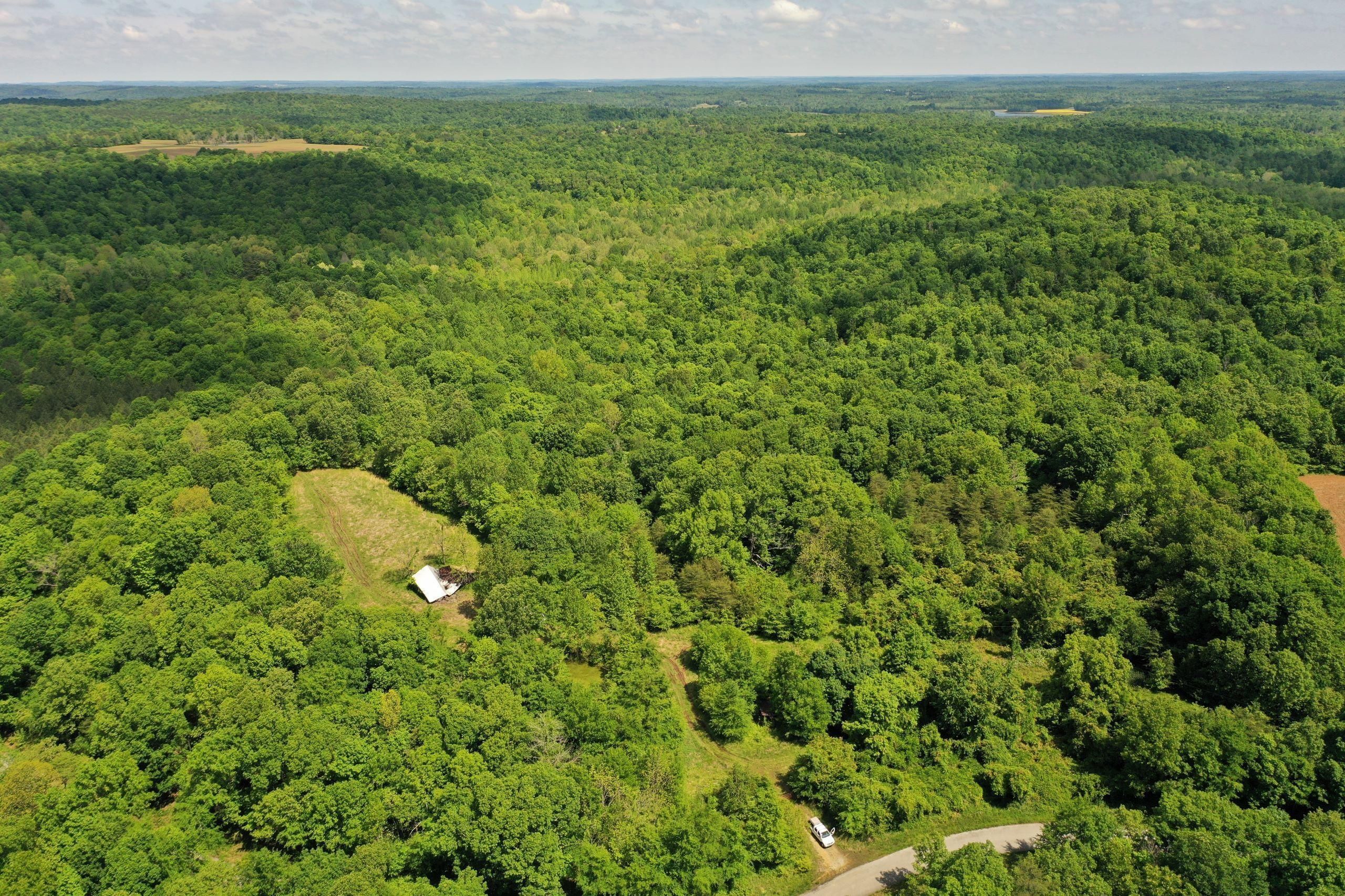 Princeton, Caldwell County, KY Recreational Property, Timberland