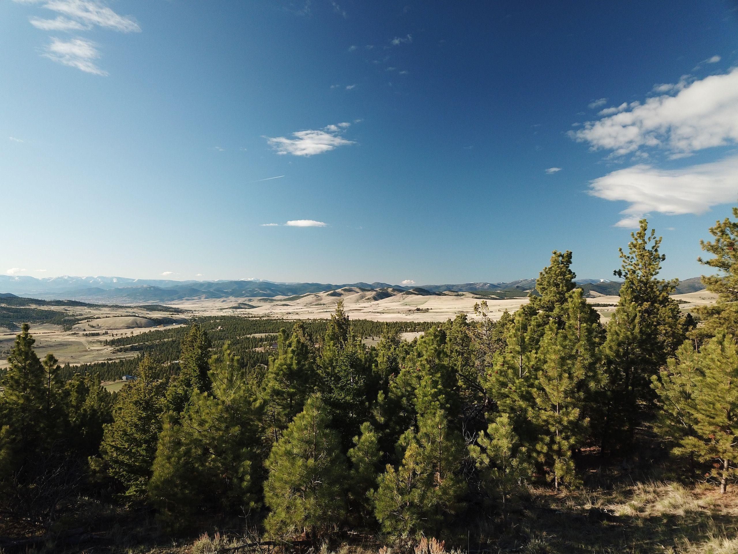 Helena, Lewis and Clark County, MT Farms and Ranches, Timberland