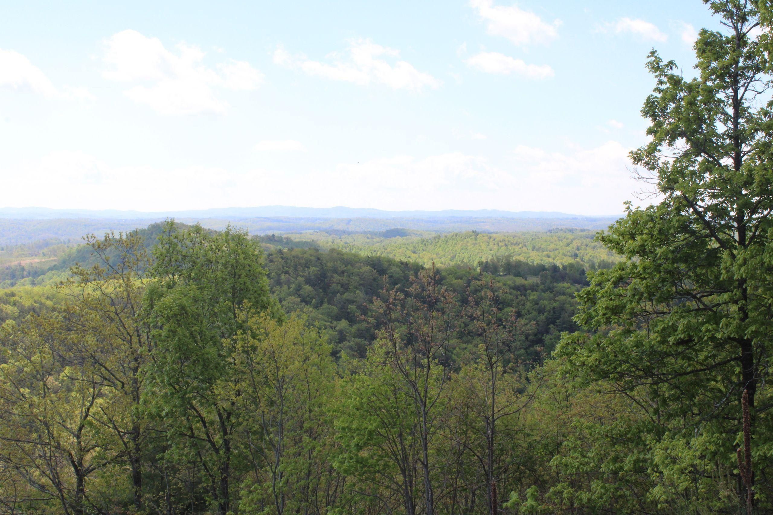 Austinville, Carroll County, VA Recreational Property, Timberland