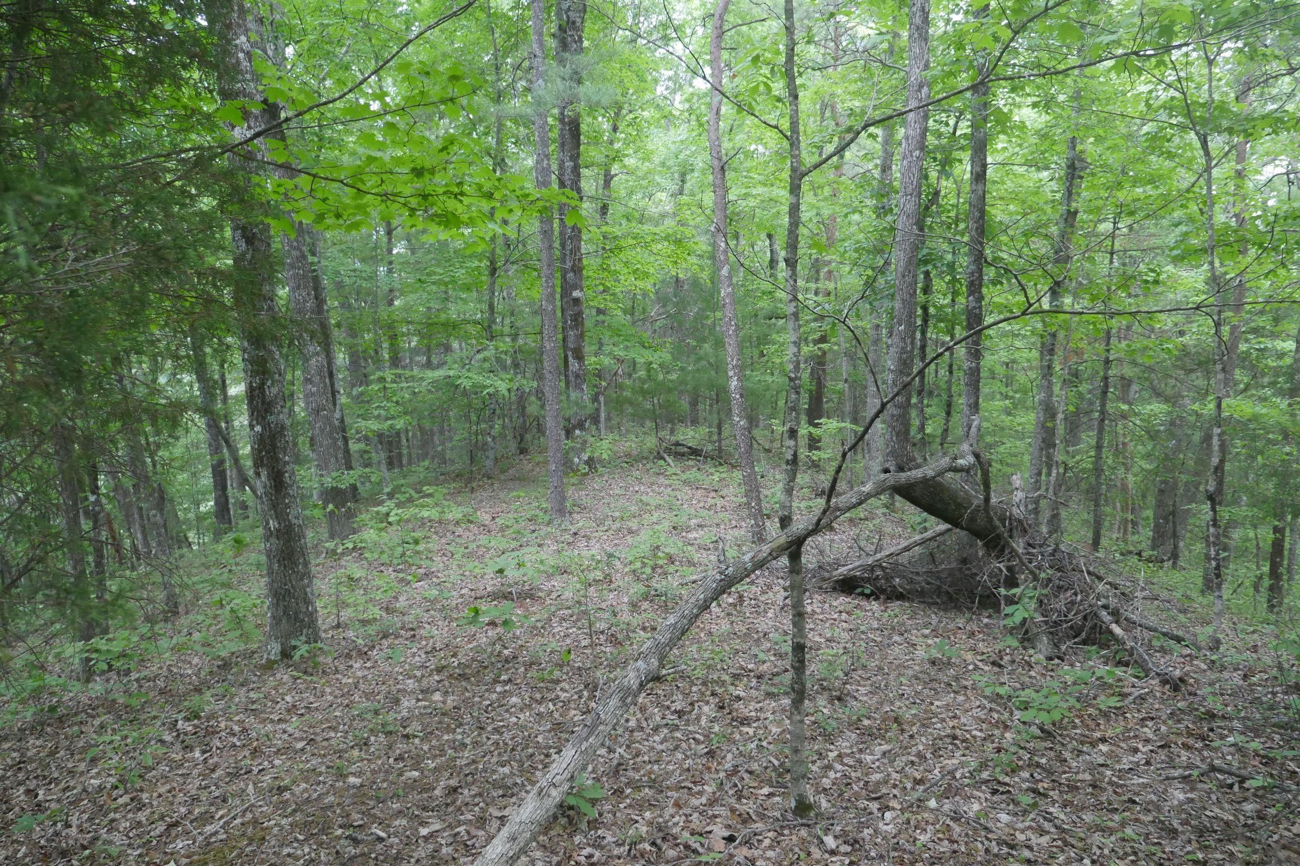 Abingdon, Washington County, VA Recreational Property, Timberland