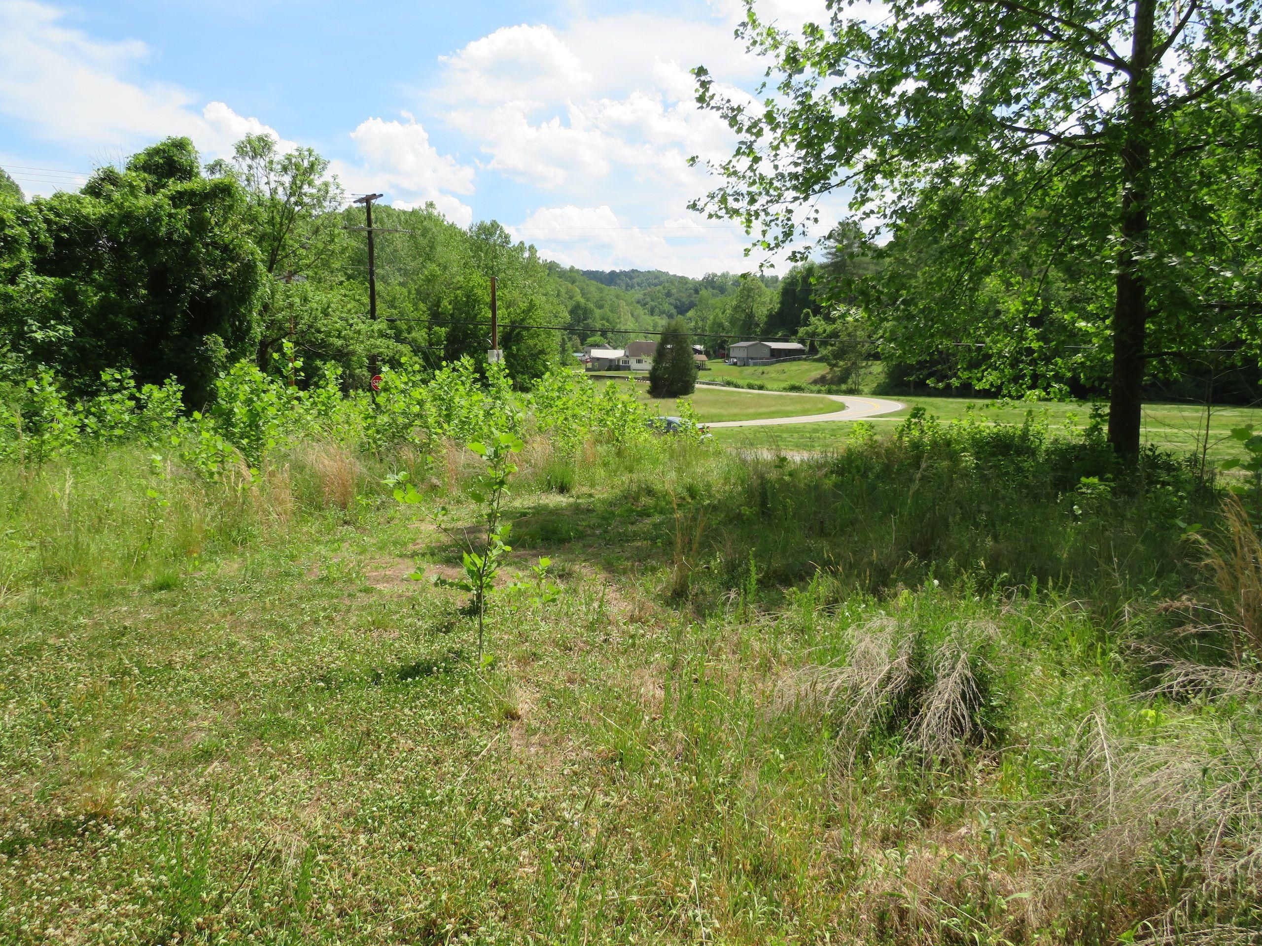 Four Mile Creek Road, Lot WP001, Branchland, WV 25506 LandWatch