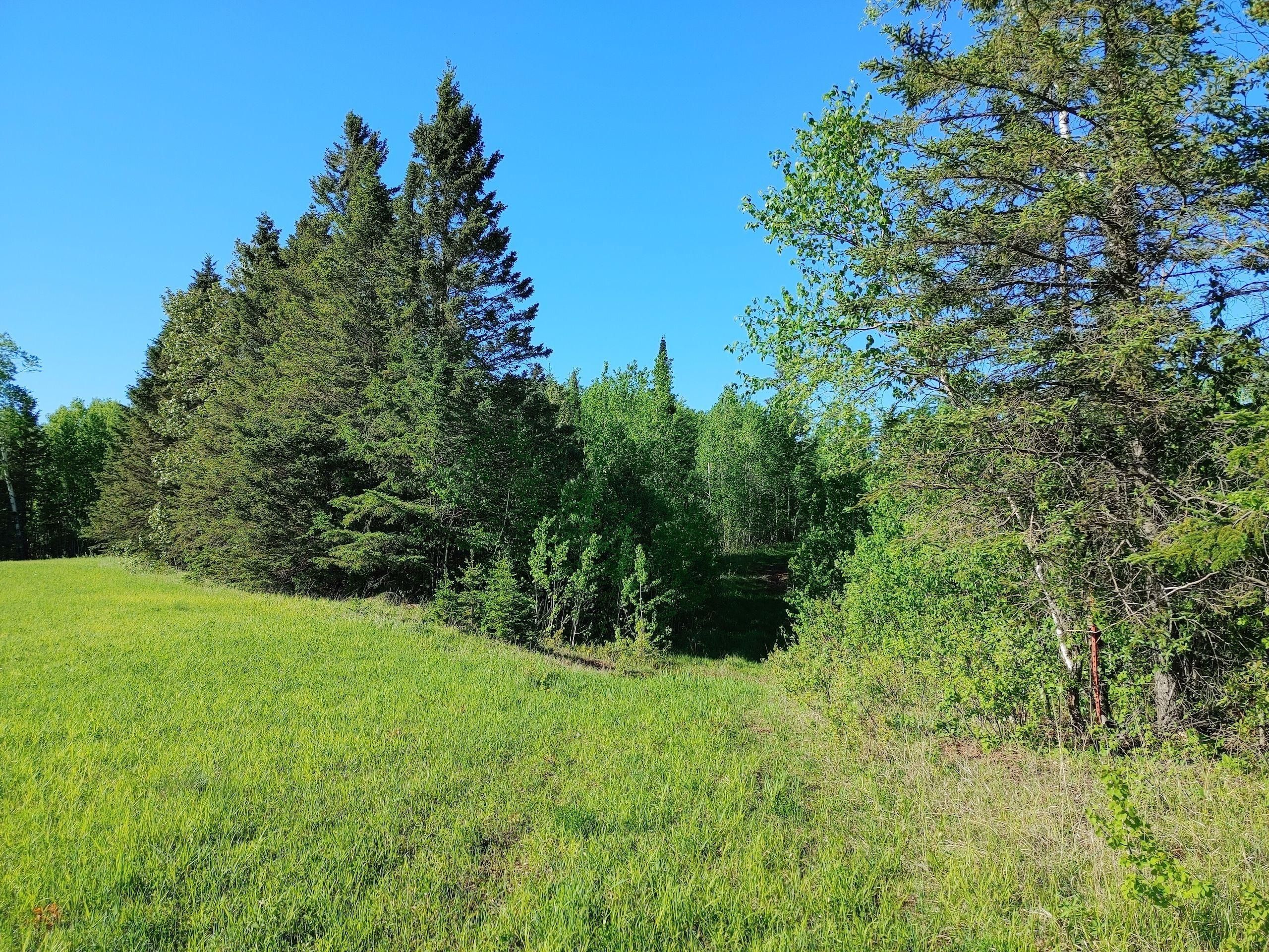 Herbster, Bayfield County, WI Recreational Property, Hunting Property for sale Property ID