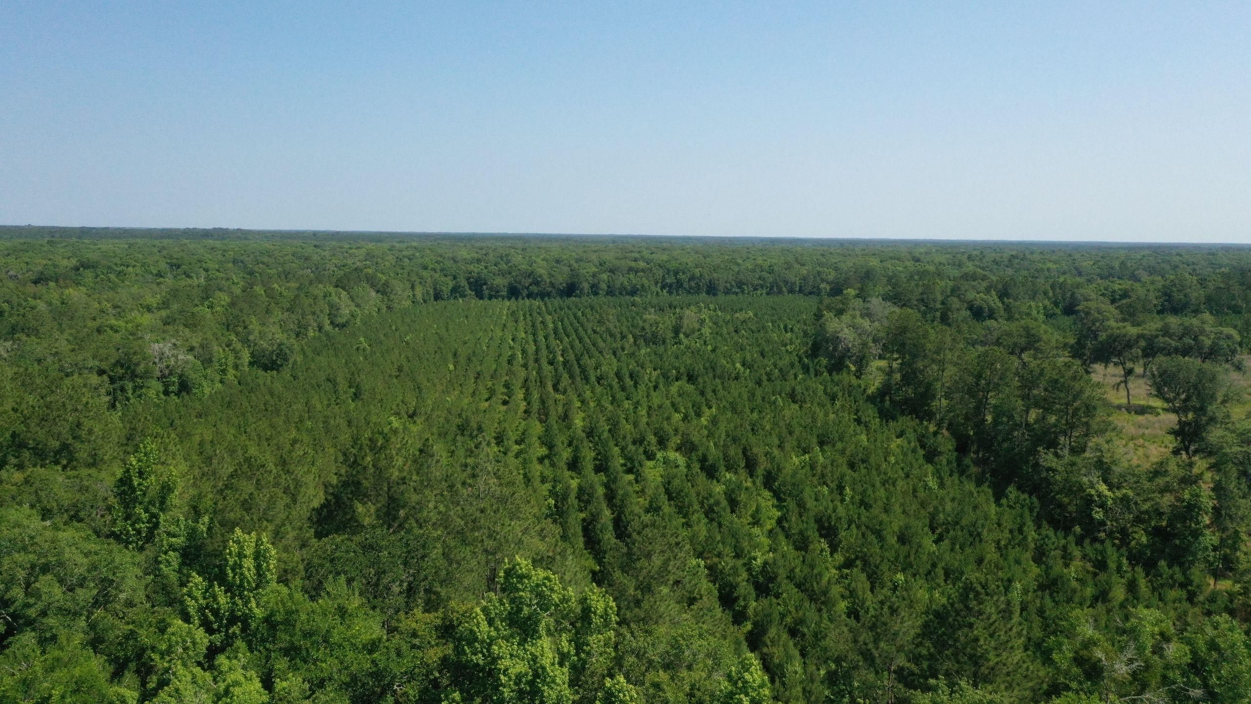 County Road 18, LotWP01, Worthington Springs, FL 32697 LandWatch