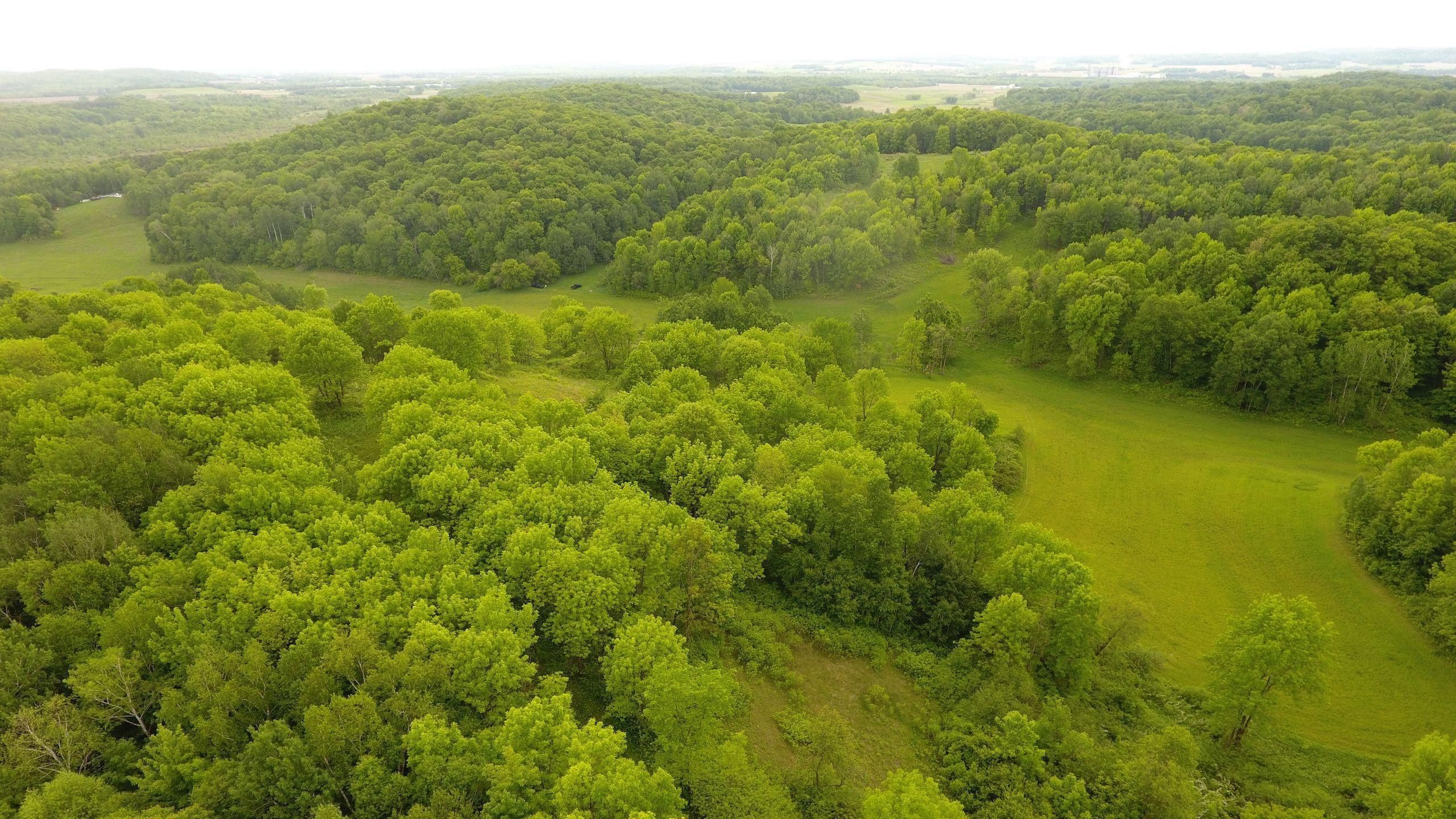Boyceville, Dunn County, WI Recreational Property, Hunting Property for