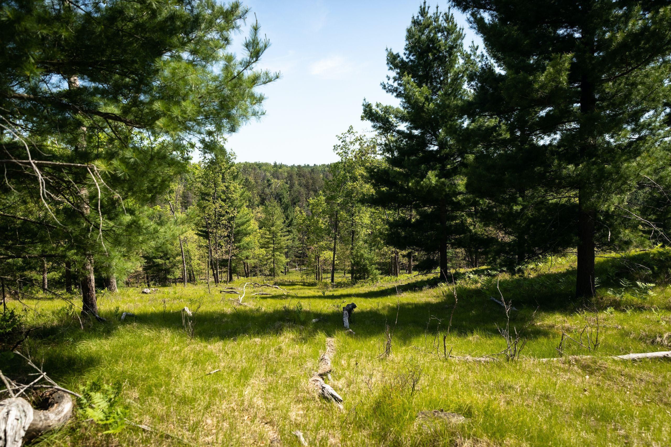 Baldwin, Lake County, MI Recreational Property, Timberland Property