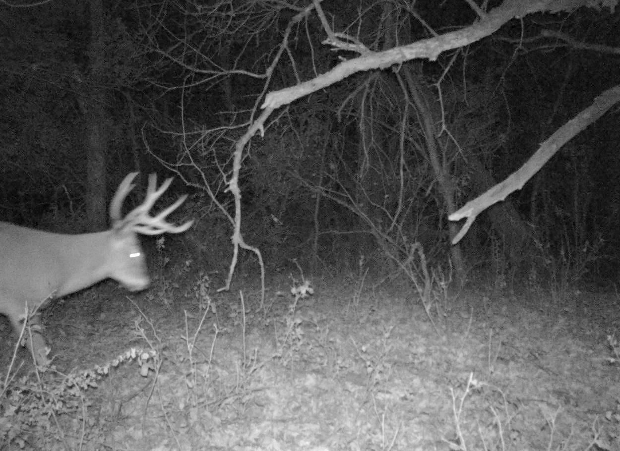 Hollandale, Freeborn County, MN Recreational Property, Hunting Property