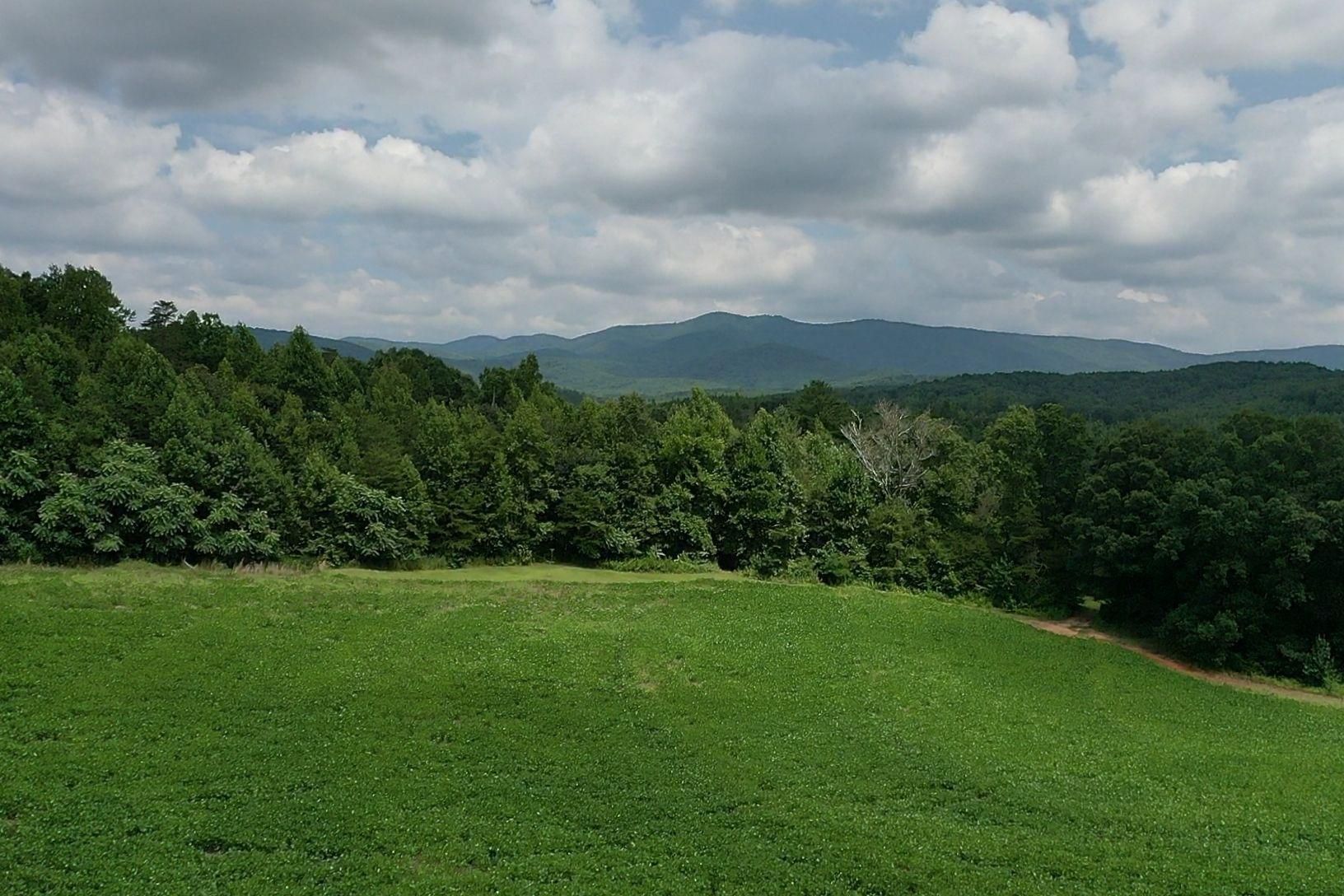 Casar, Cleveland County, NC Farms and Ranches, Timberland Property