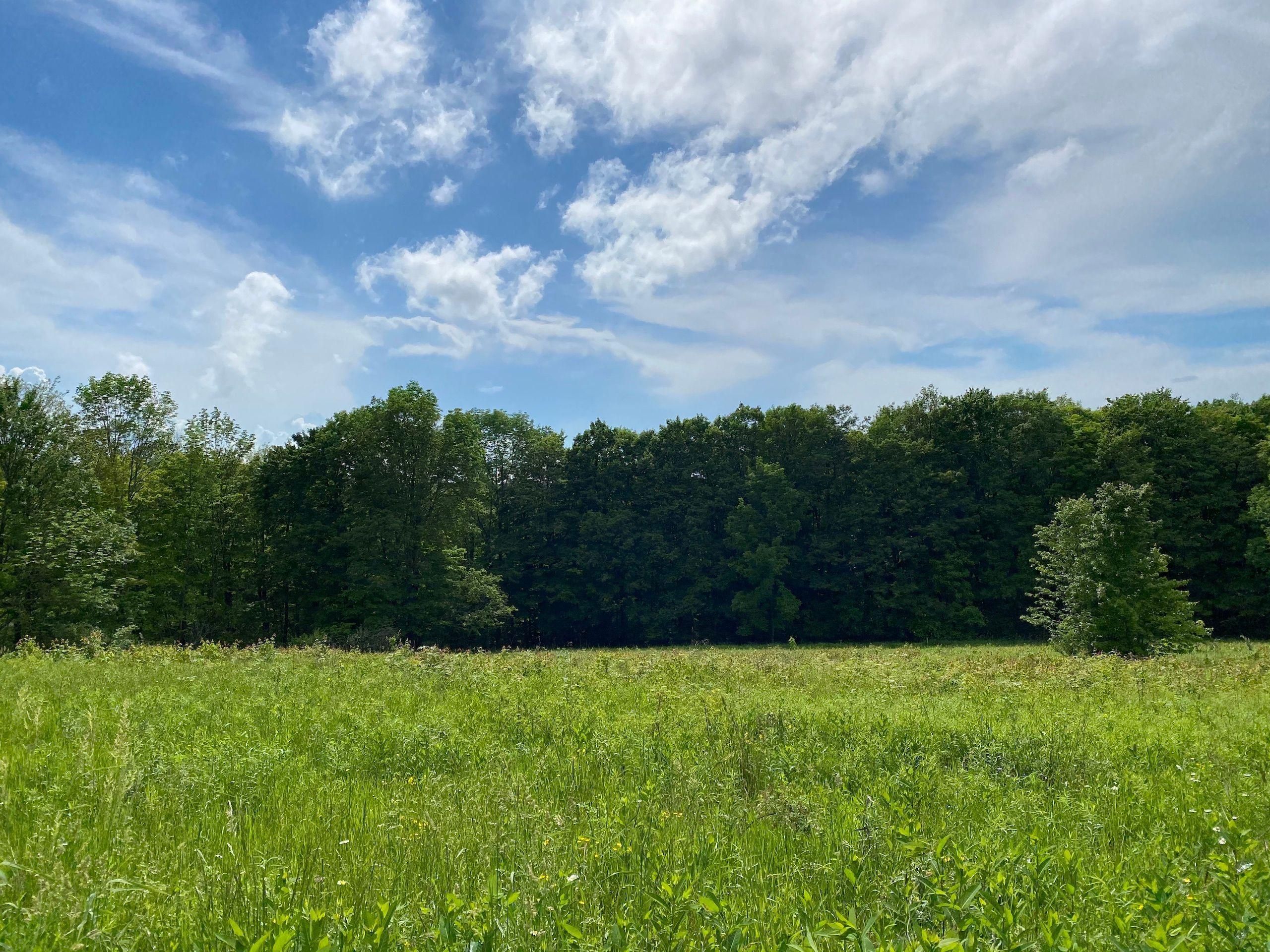 Sugar Grove, Warren County, PA Recreational Property, Timberland Property, Hunting Property for