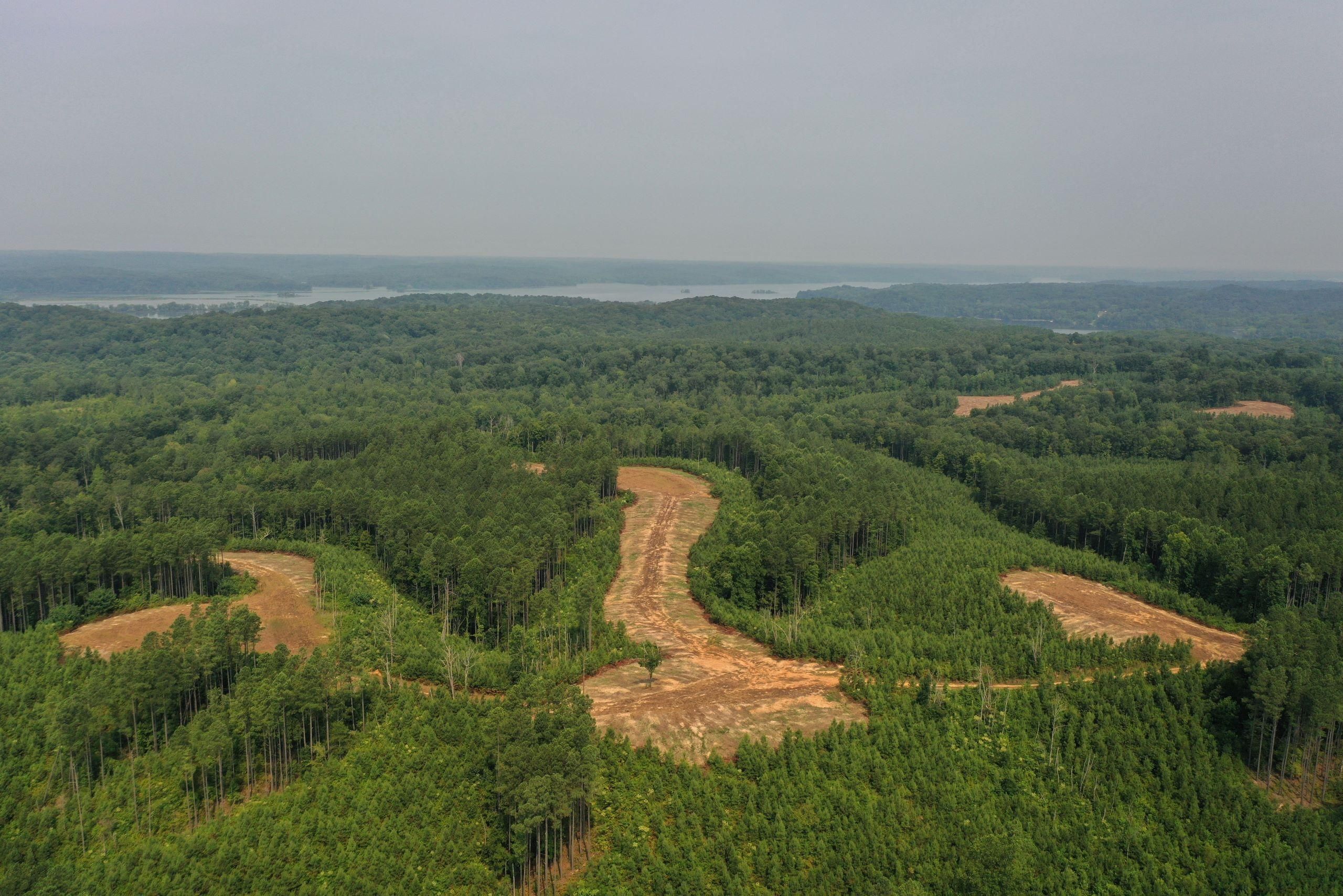 Cadiz, Trigg County, KY Recreational Property, Timberland Property